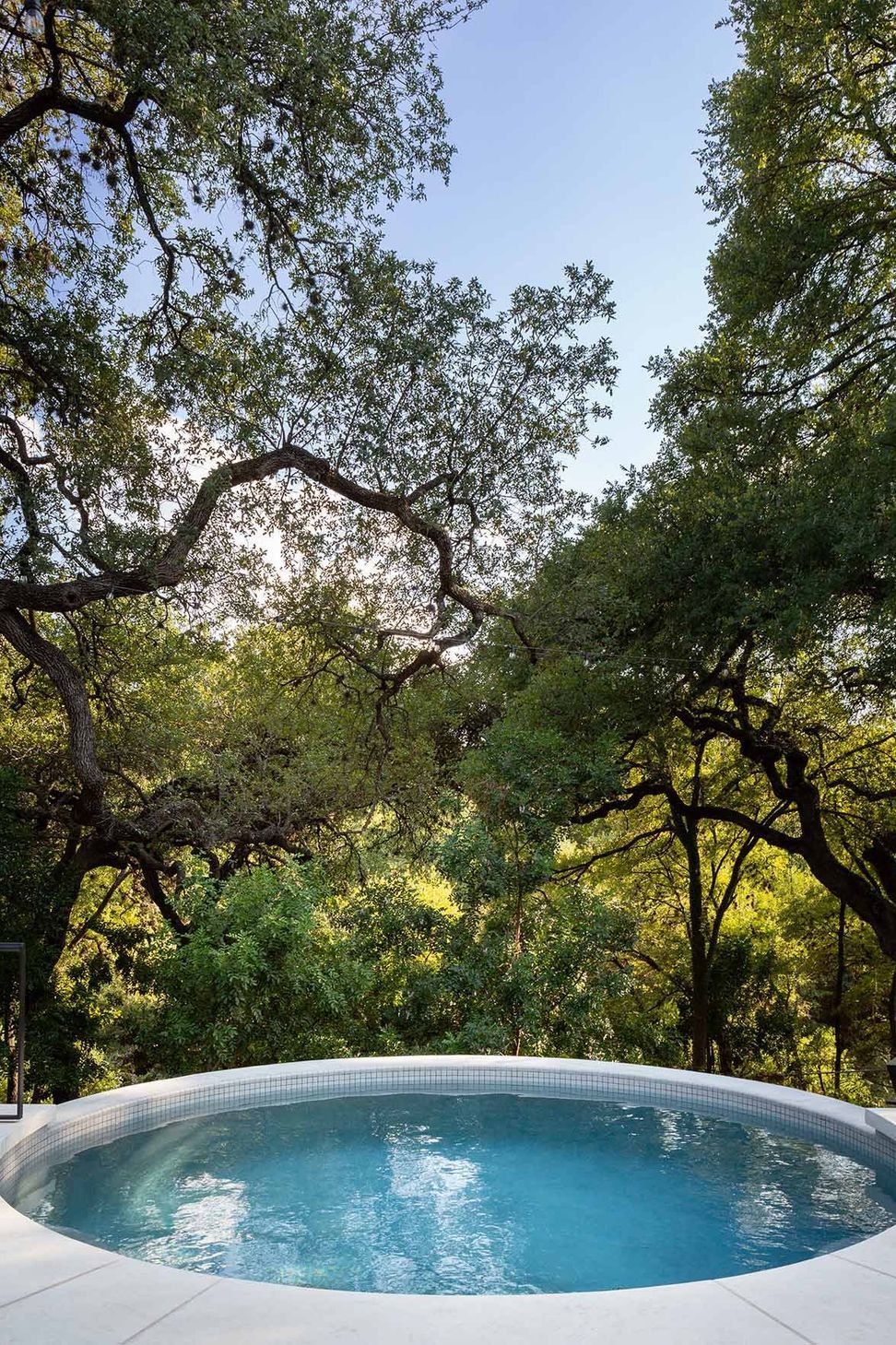 24BelmontParkCuppettKilpatrickArchitectureandInteriorDesignaustin-tx-circular-plunge-pool-trees.jpg