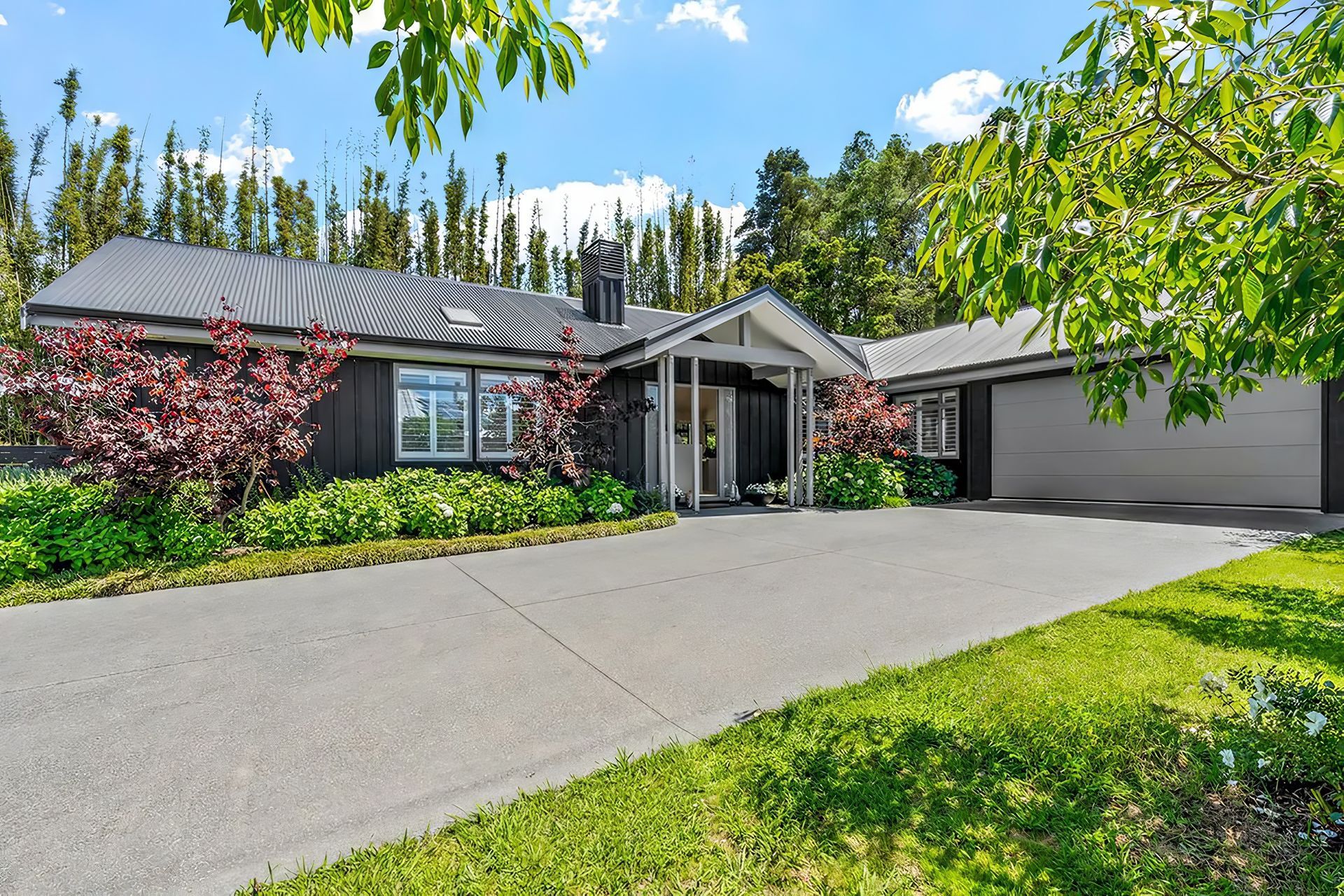 38-Awanui-Cres-Matakana-12-topaz-high-compression-15x.jpeg