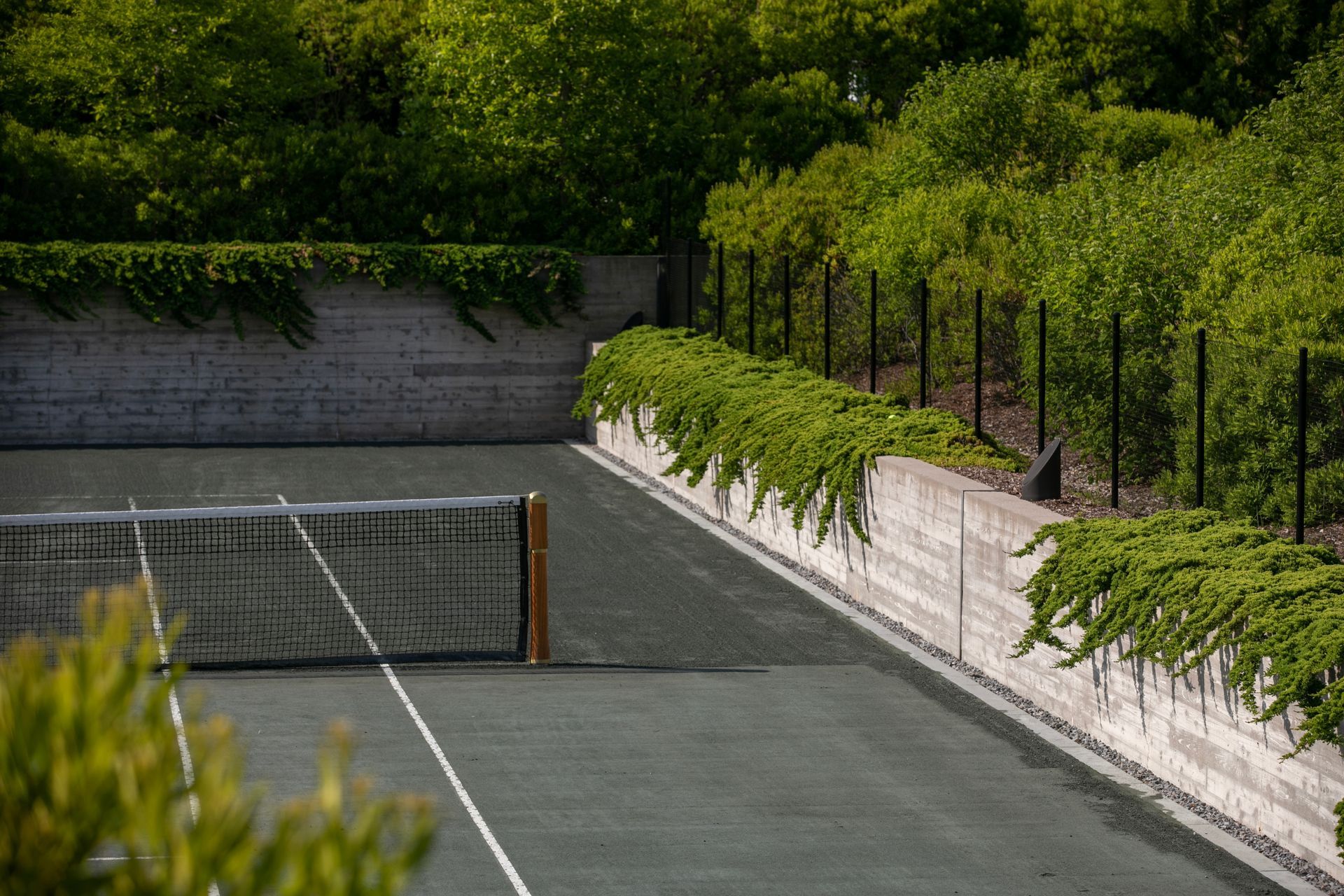 PeconicLawnCare20230530060-ap-compressed.jpg