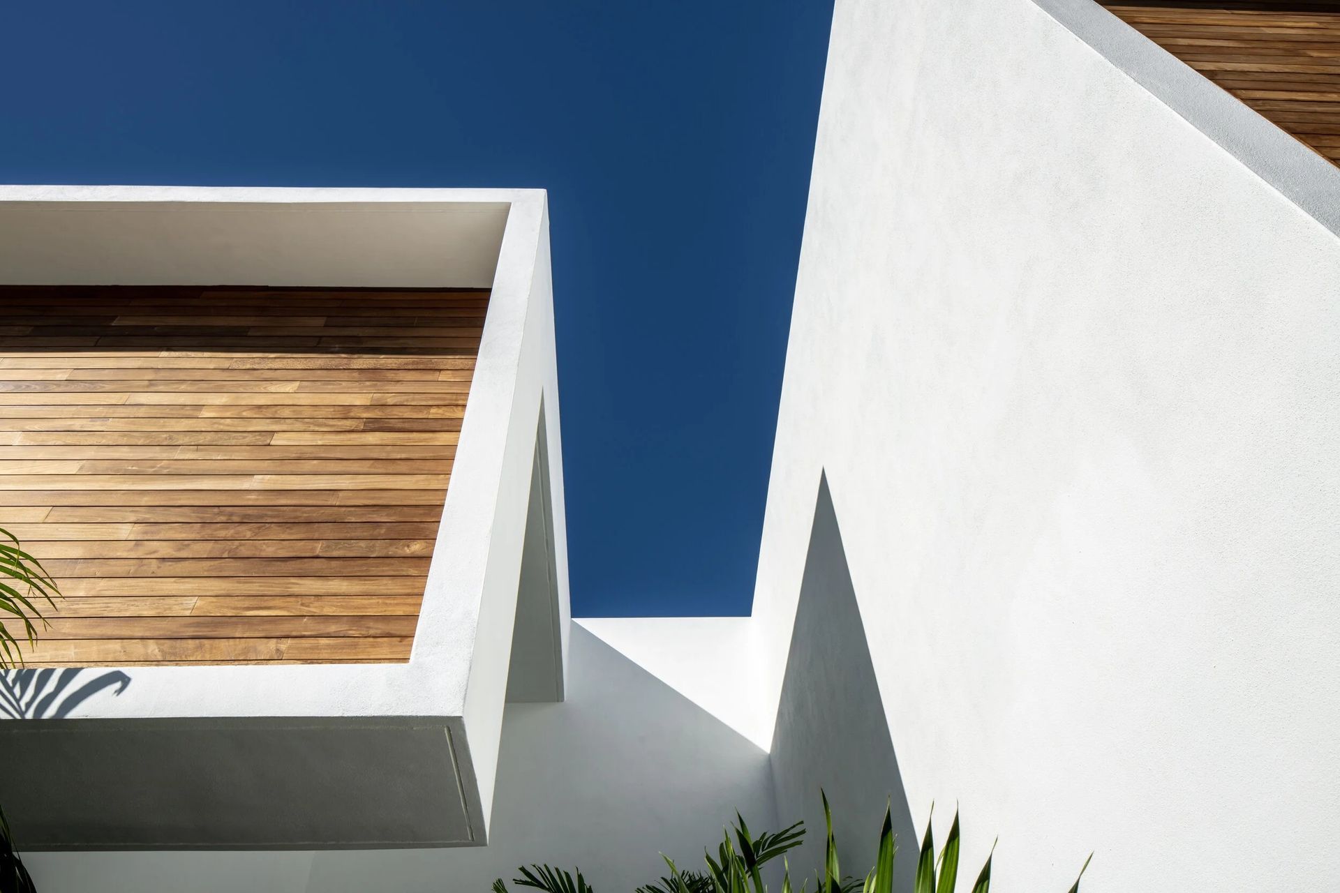 imgi13Tradewinds-Small4.jpg