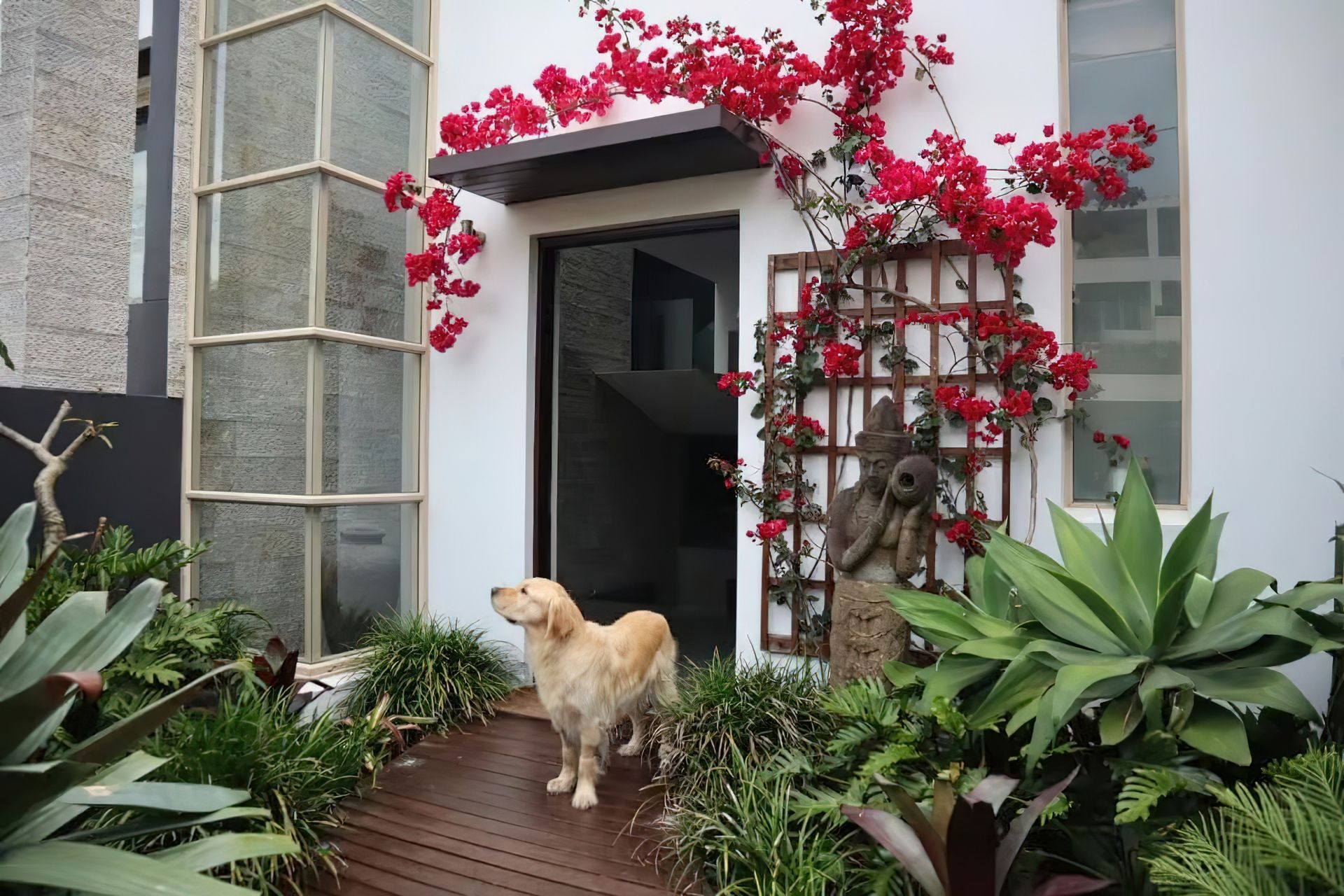 imgi15Landscape-designer-Clovelly-Sydney.jpeg