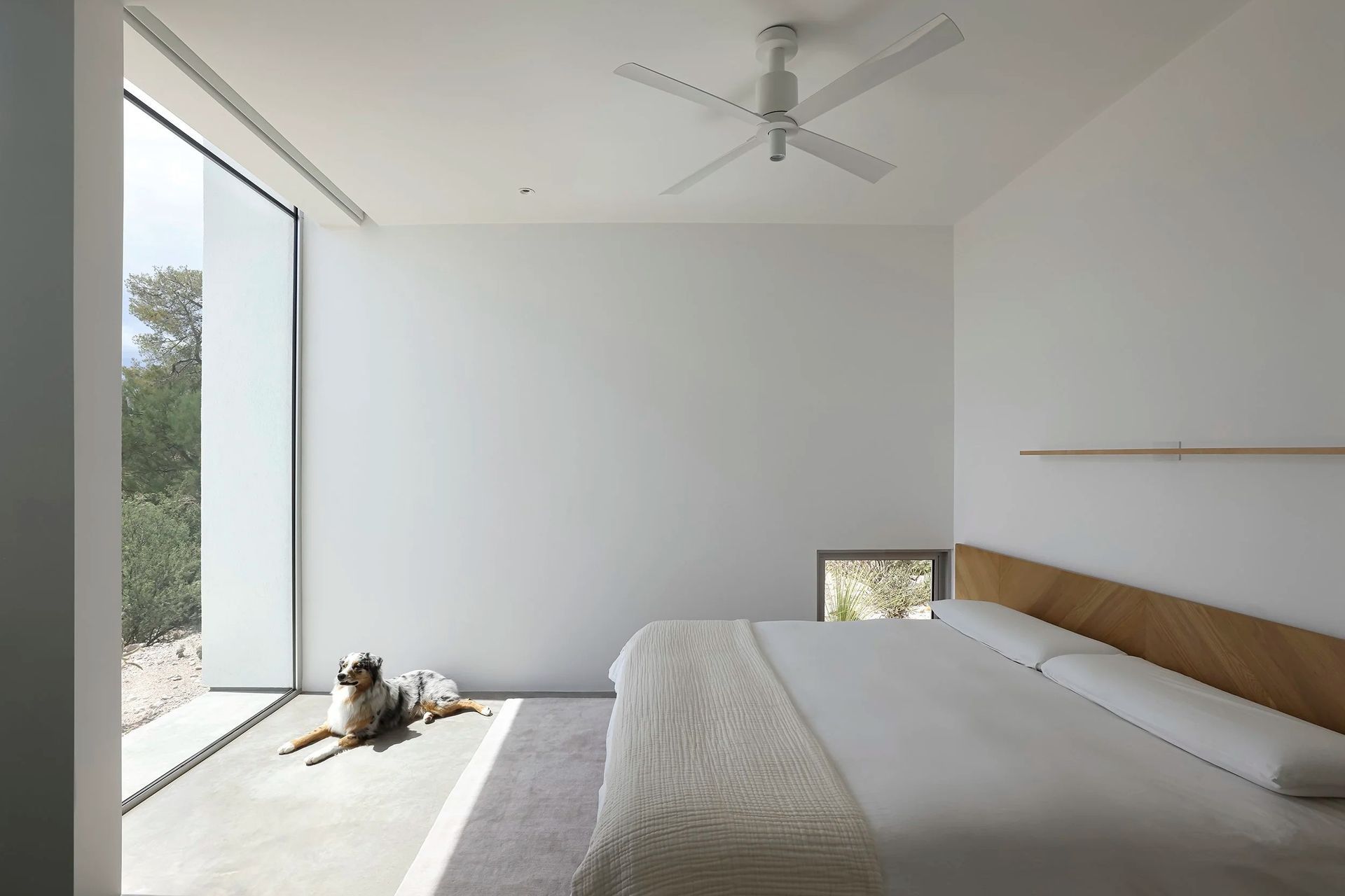 imgi171HKTheRealHouse1789.jpg