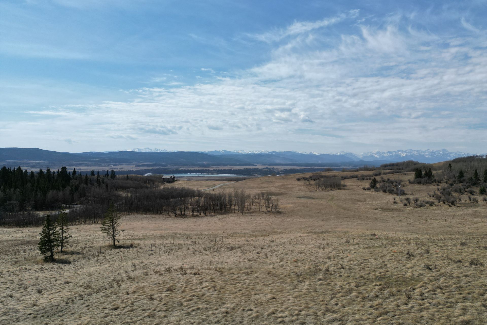 imgi67DJI0533.jpg