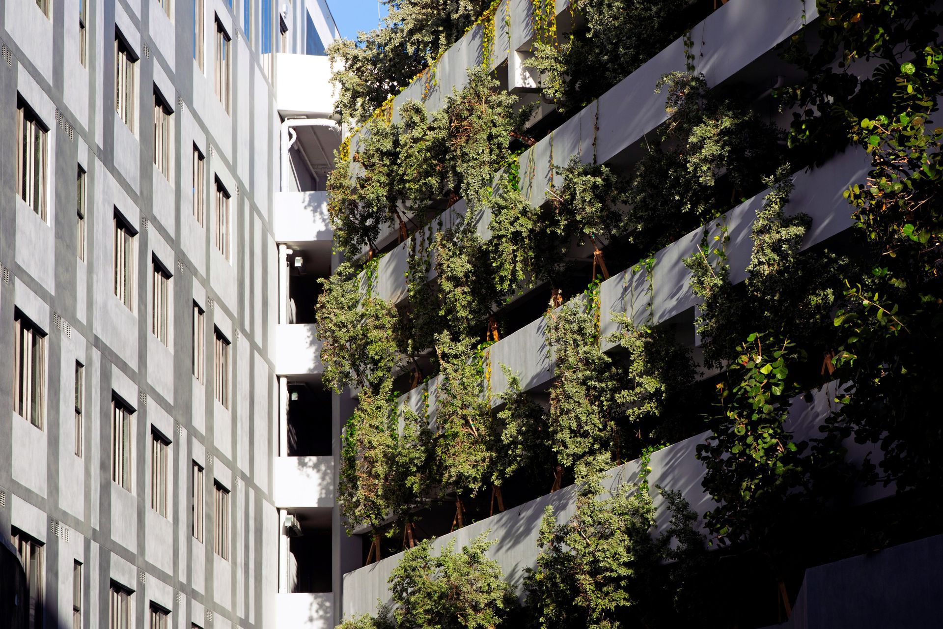 694966d8f3d28e88fffa3576Grove-Central-Detail-3-1.jpg