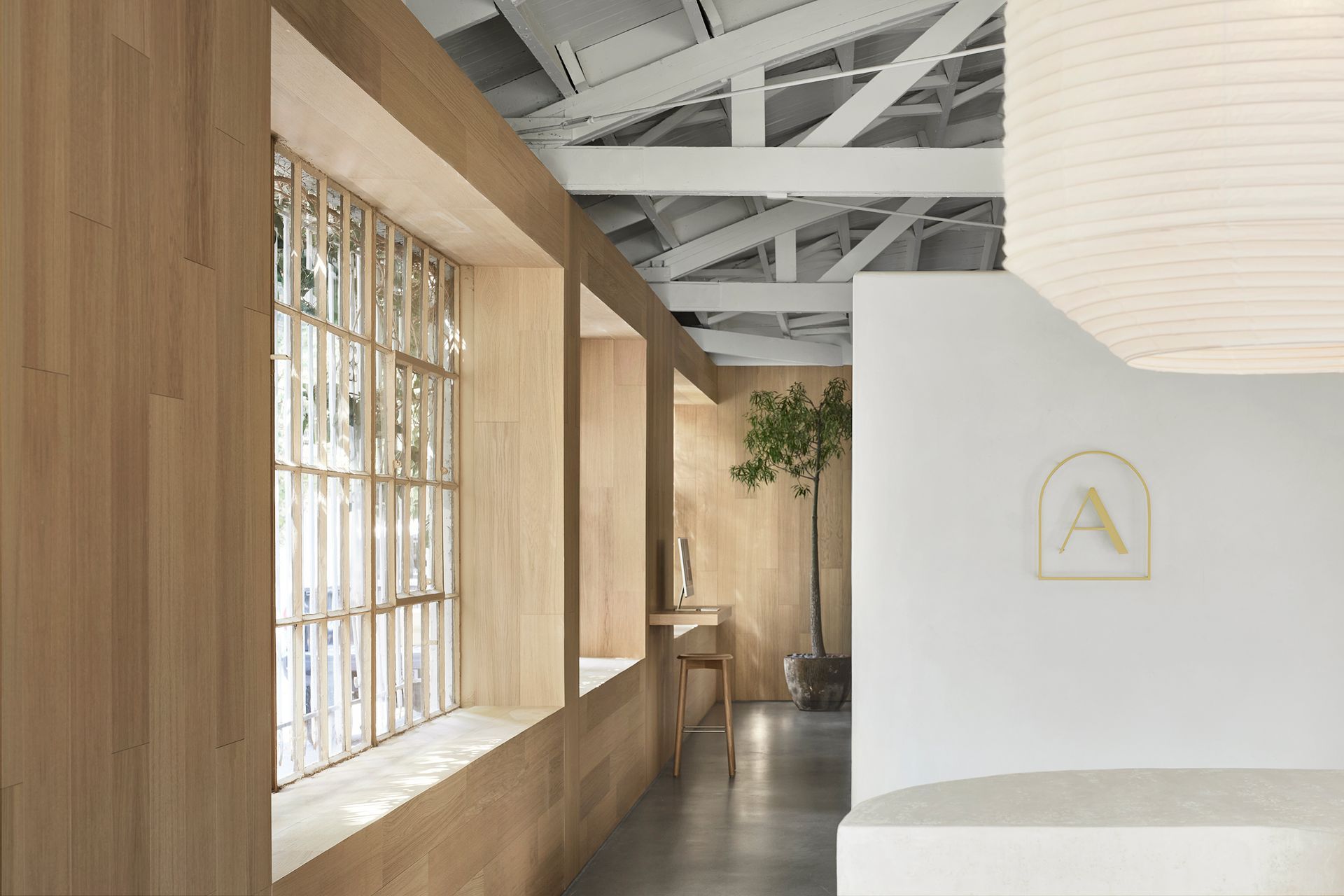 ARMADILLO-LA-10.jpg