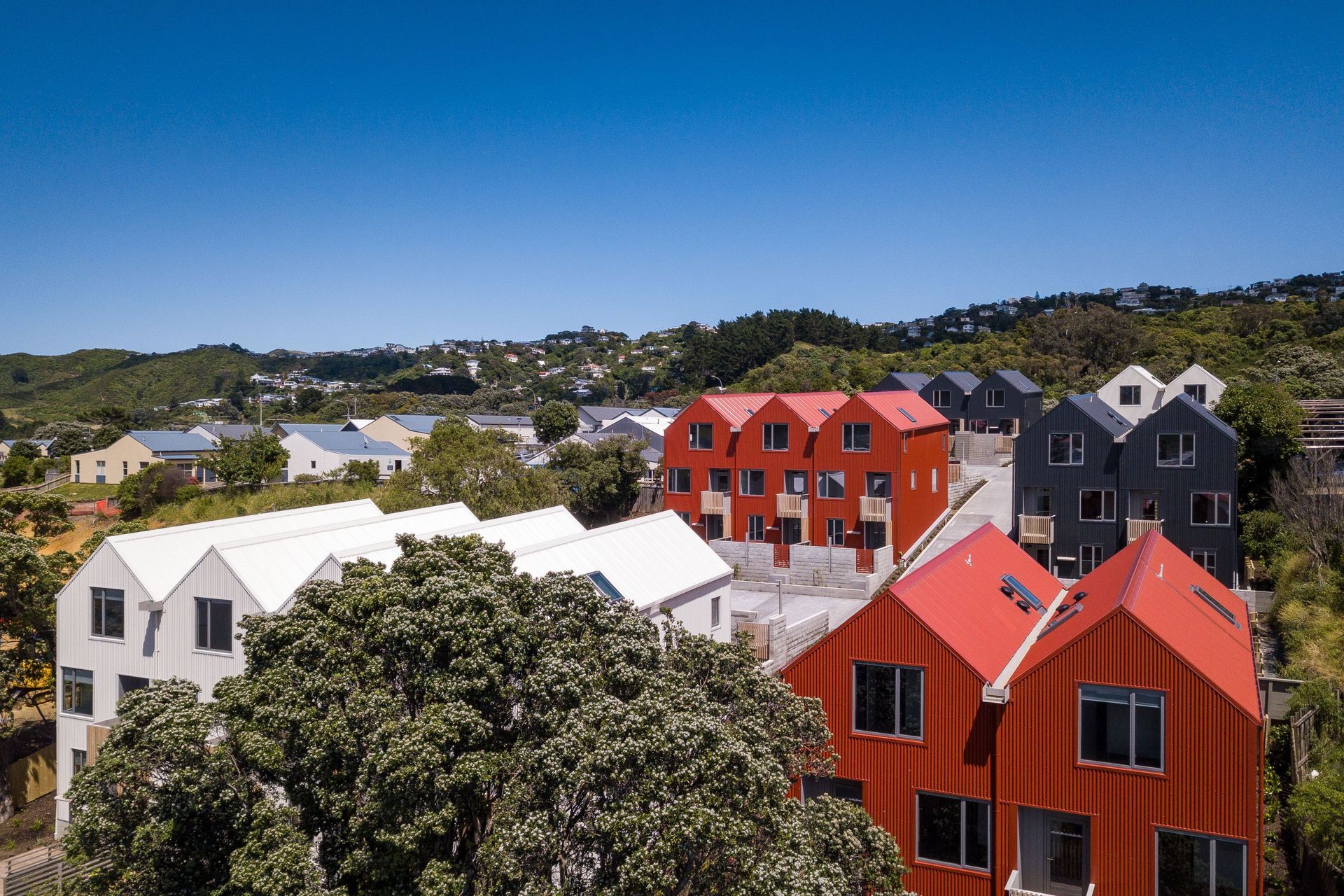 Adelaide33.jpg