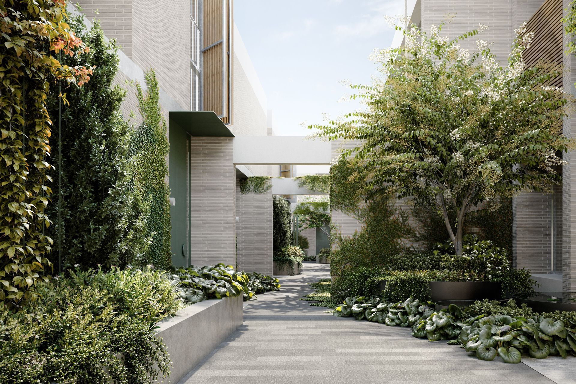 StudioPiperSycamoreStMalvernEast02CentralLaneway-v2.jpg
