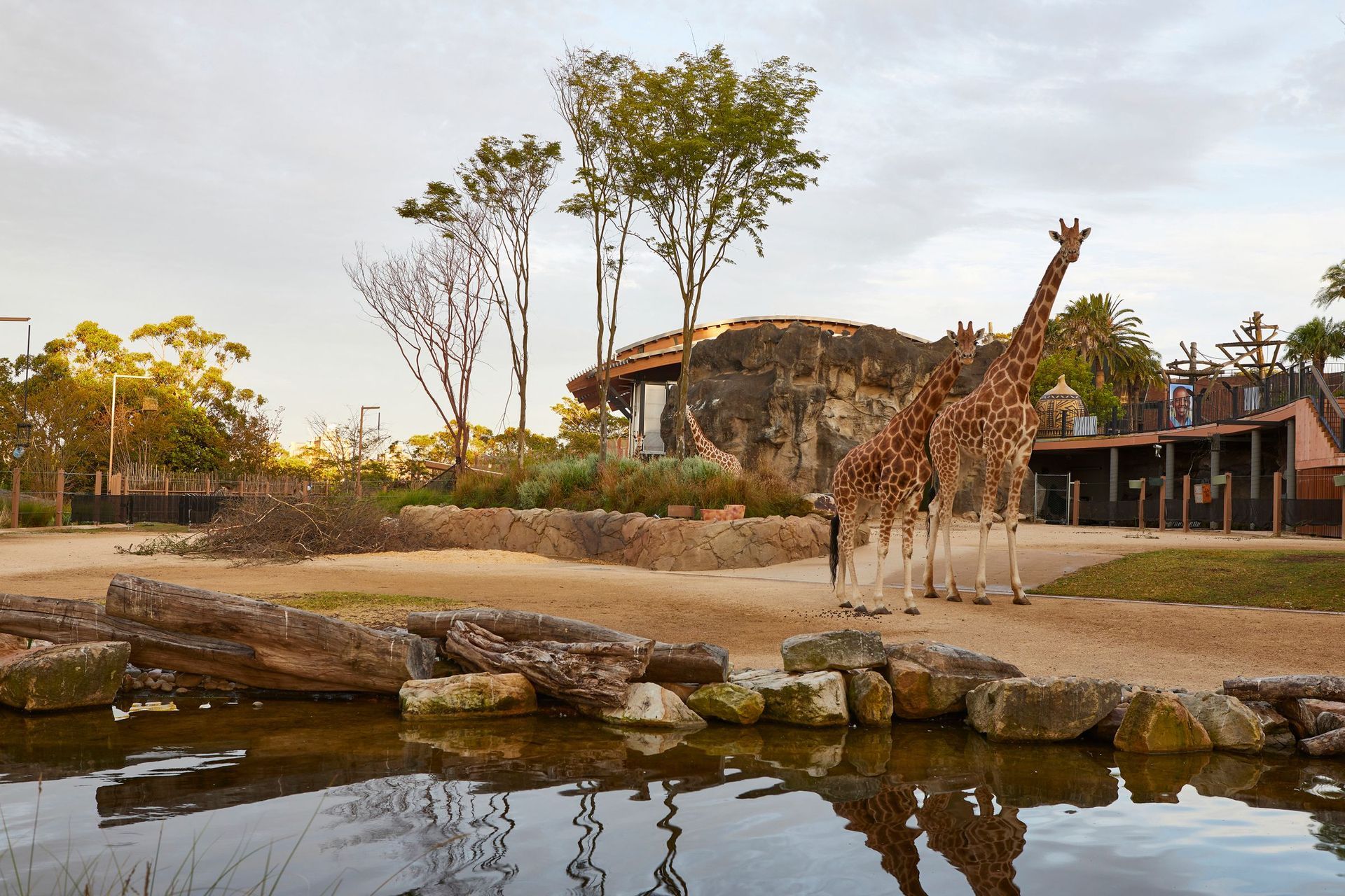 Taronga Zoo African Savannah