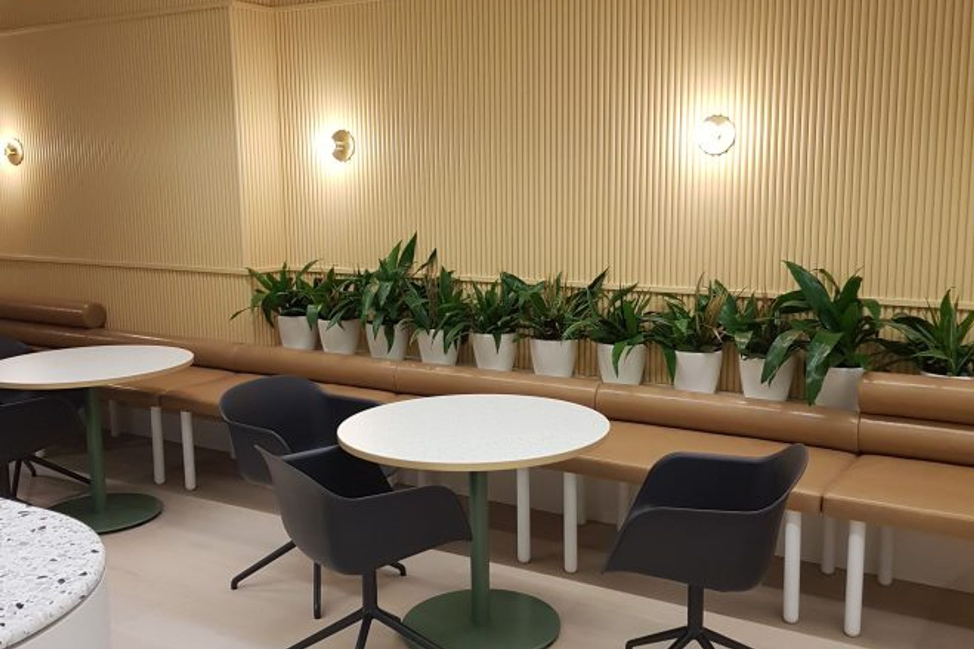 Medibank