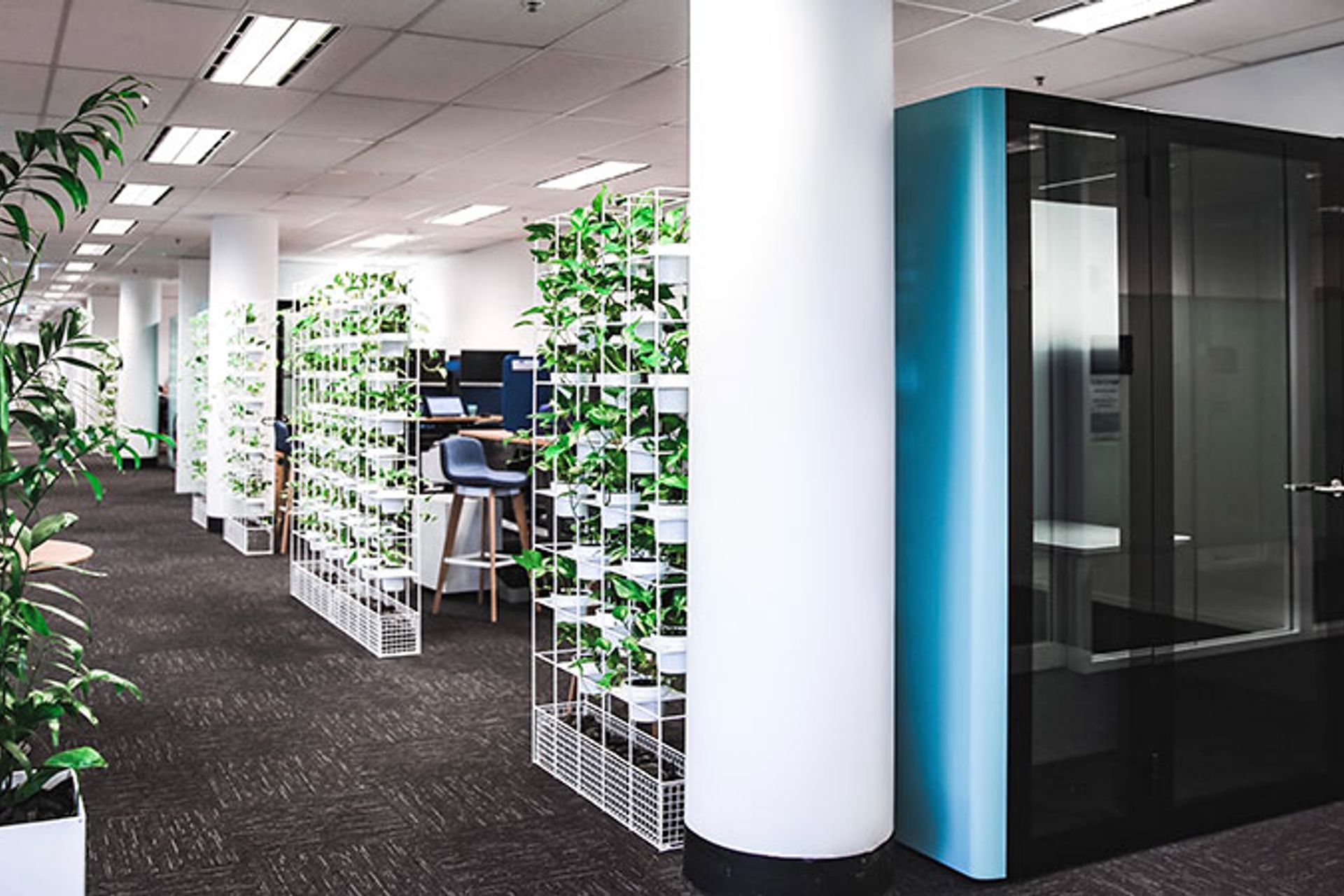 REXEL AUSTRALIA
