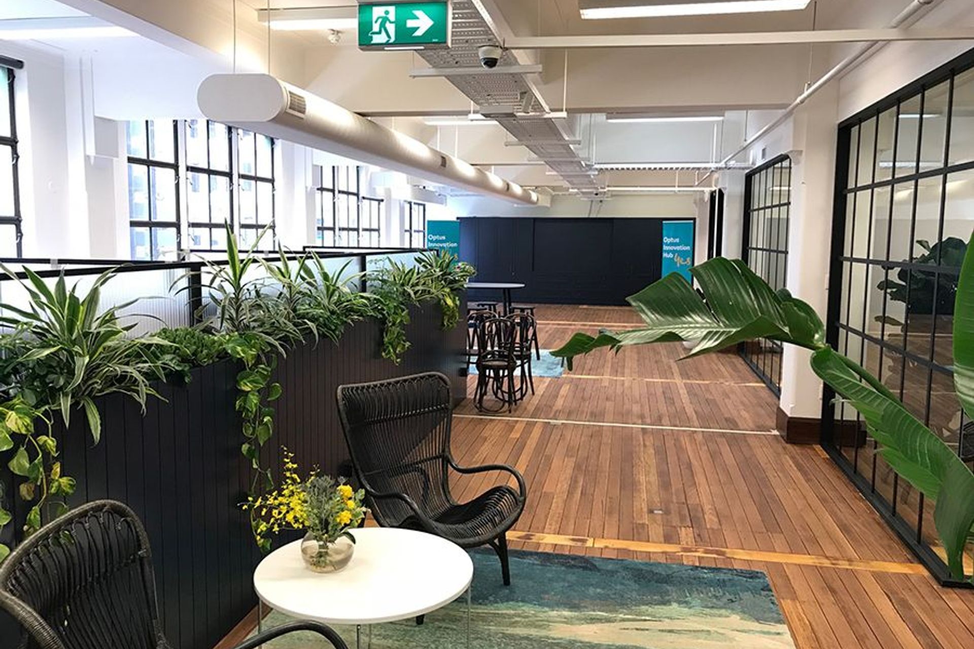 Optus Start Up Hub