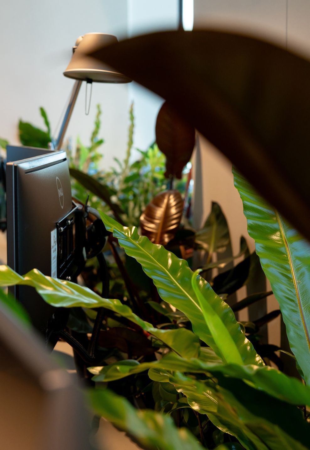 JP17071-ap-compressed.jpg