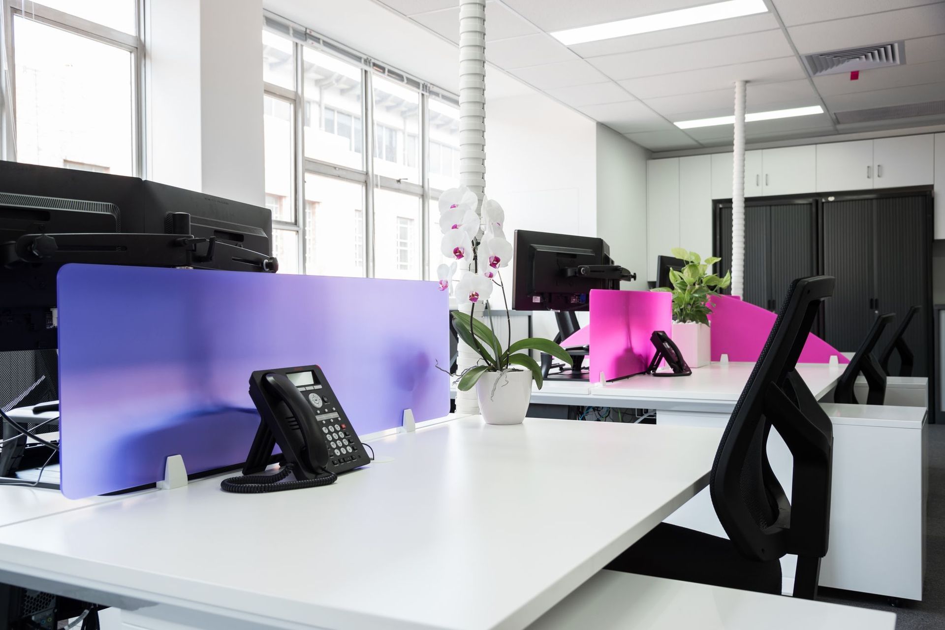 Surry Hills Office