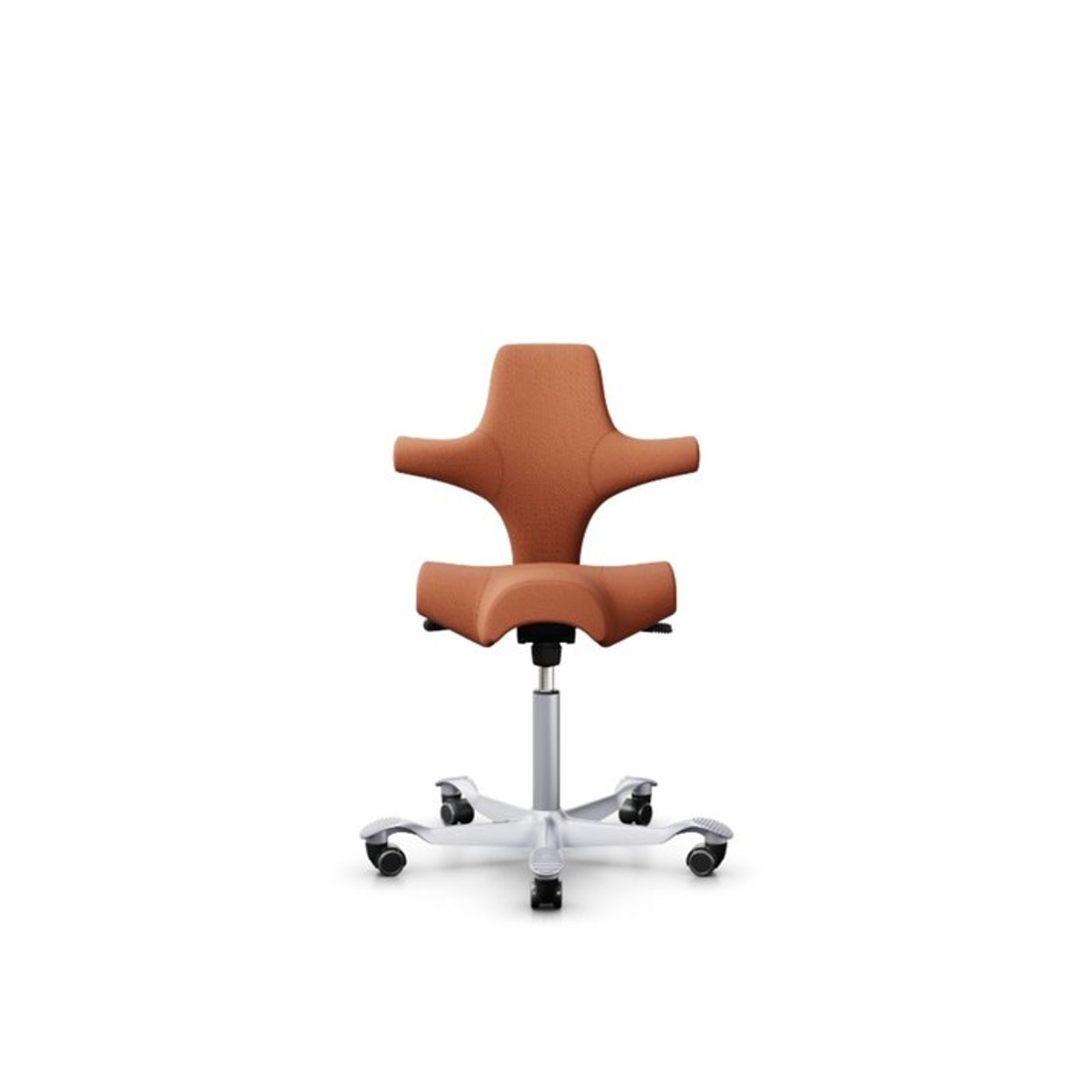 productimage-v53.jpg