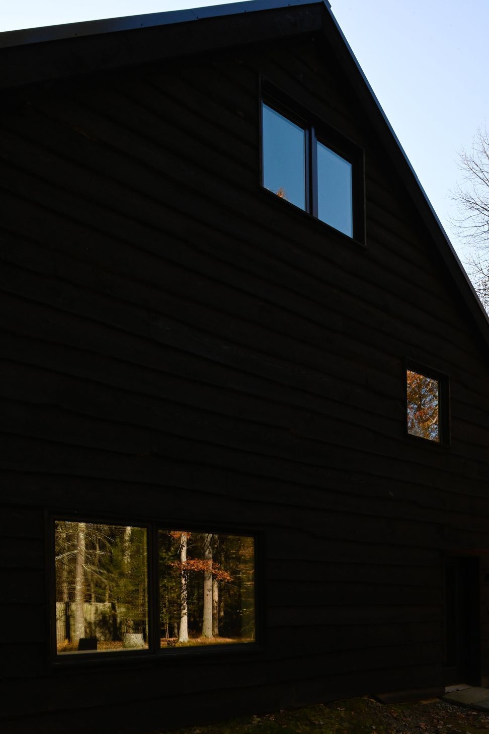DSC8816.jpg