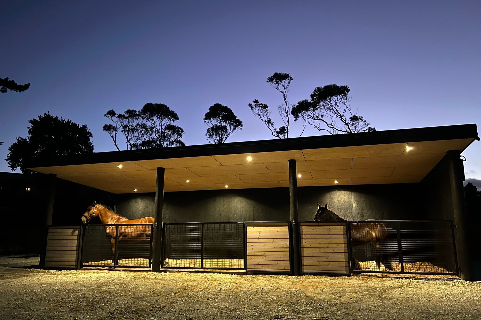 Taupaki Stables