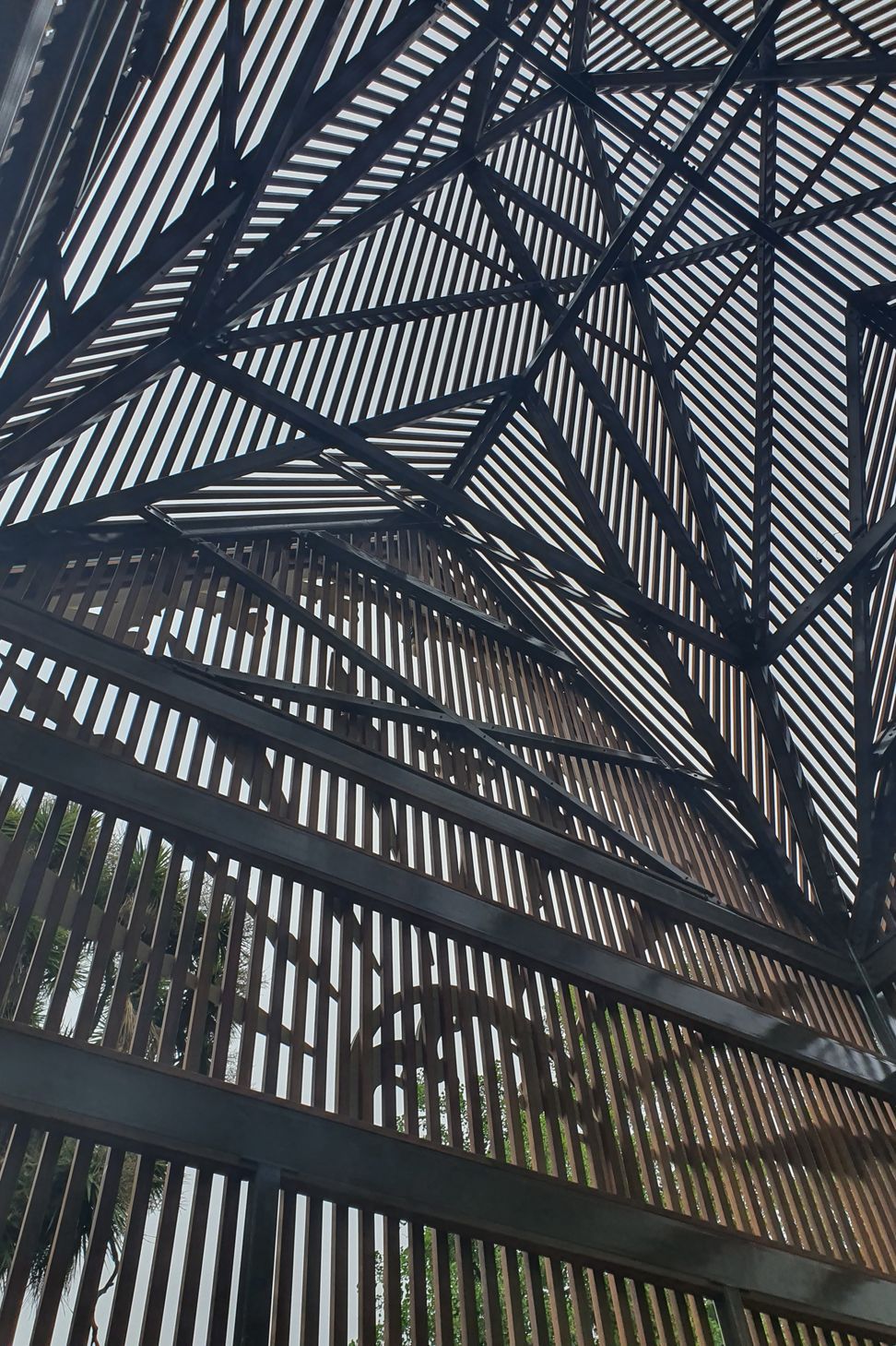 Fernery - Ballarat Botanic Gardens
