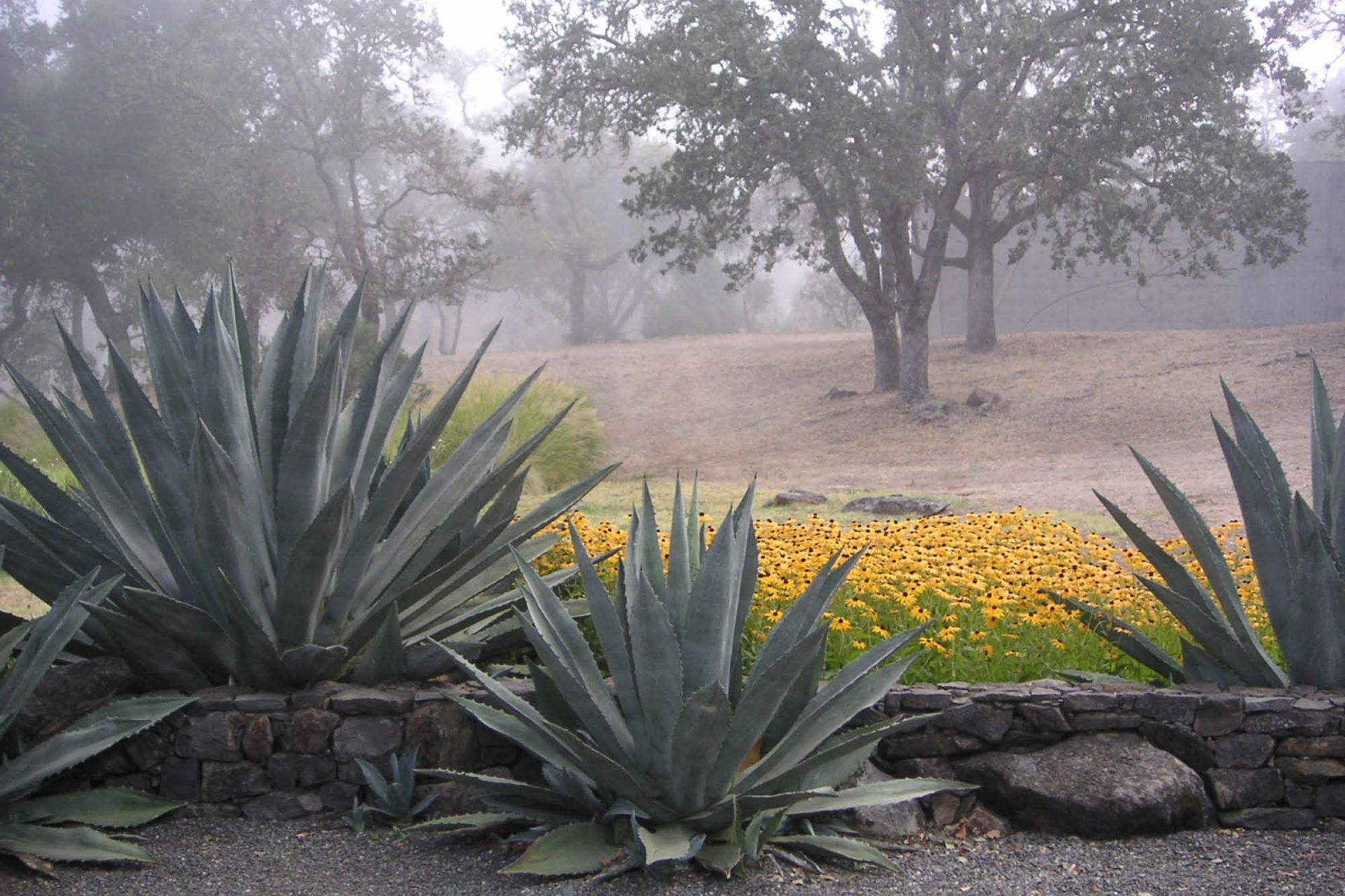 OliverRanch12.jpg