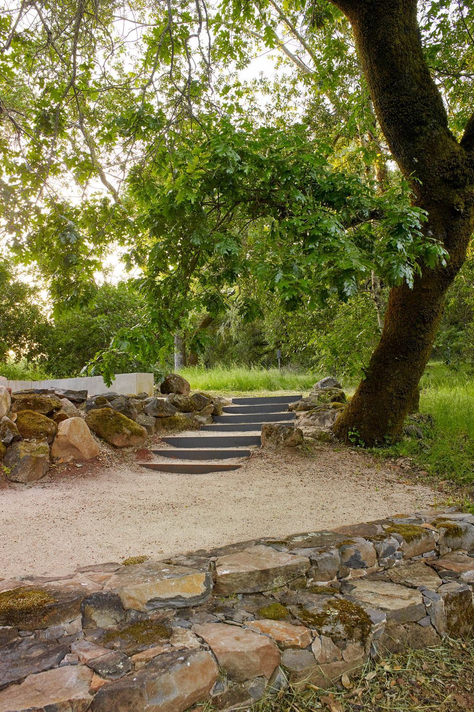 OliverRanch8.jpg