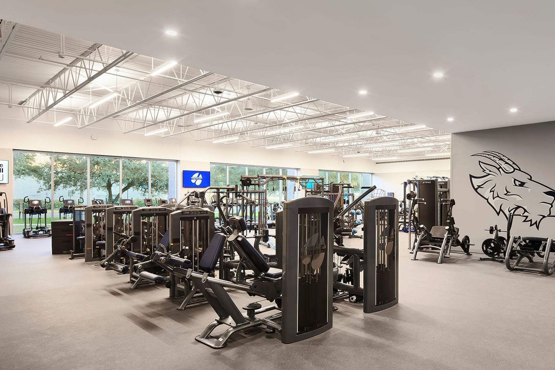 SEU-Rec-Center-Web-4SA-Edit-5AndreaCallo.jpeg