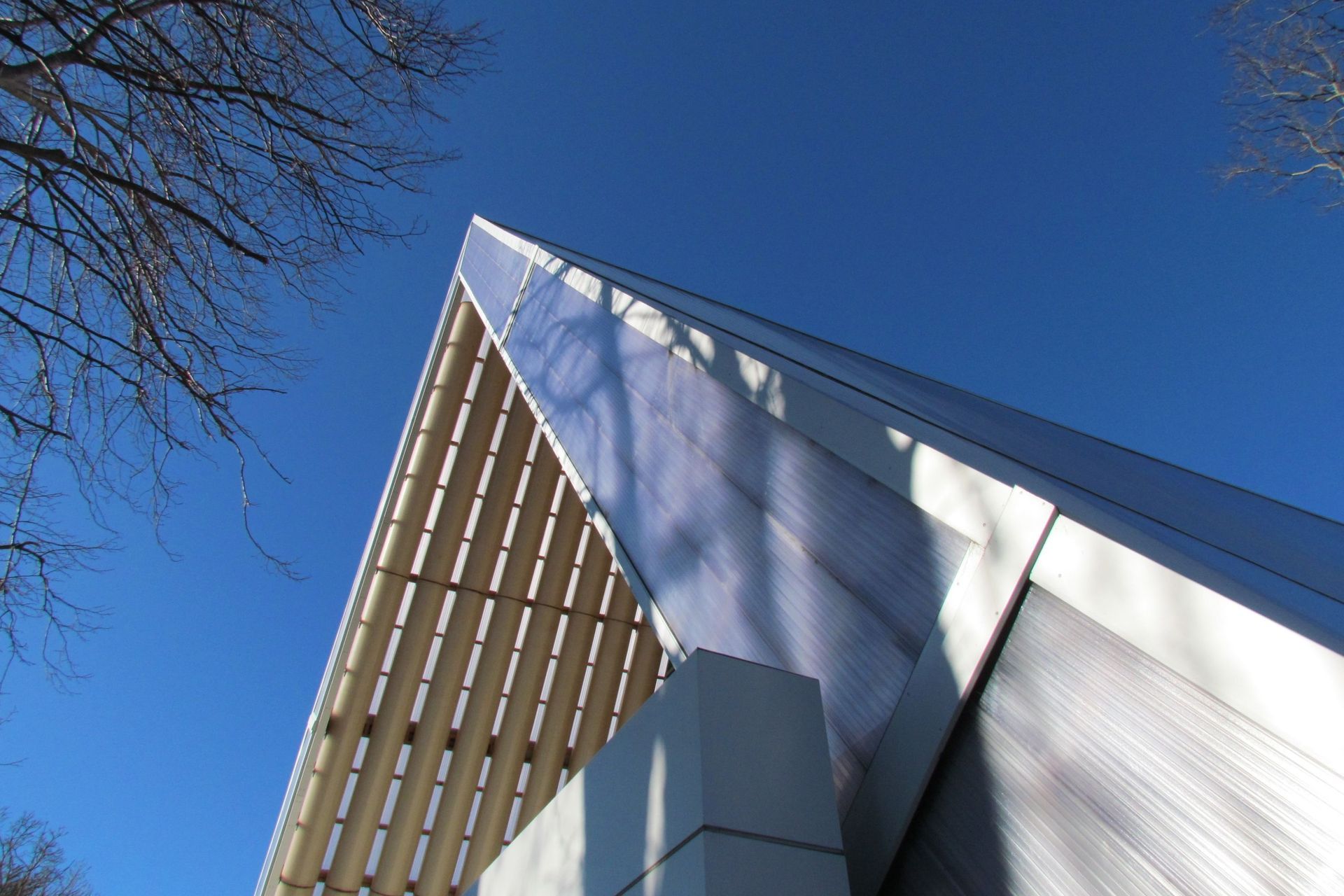 Cardboard Cathedral