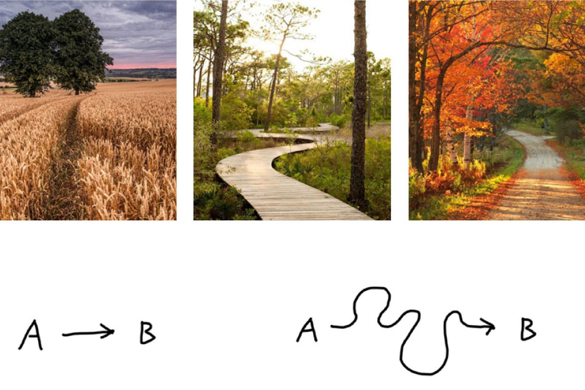 The delight of a curving path.