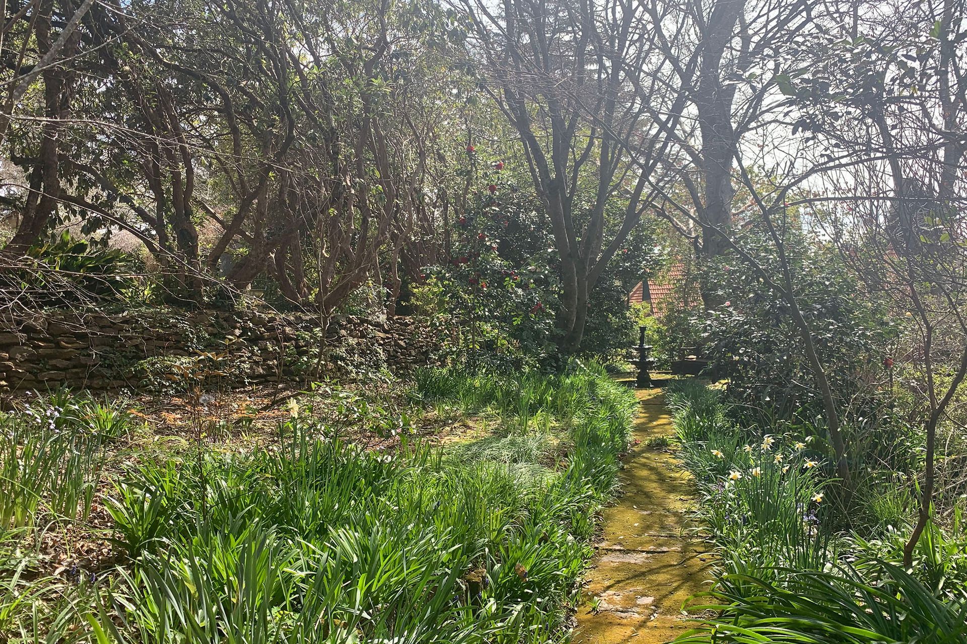 Lower garden.