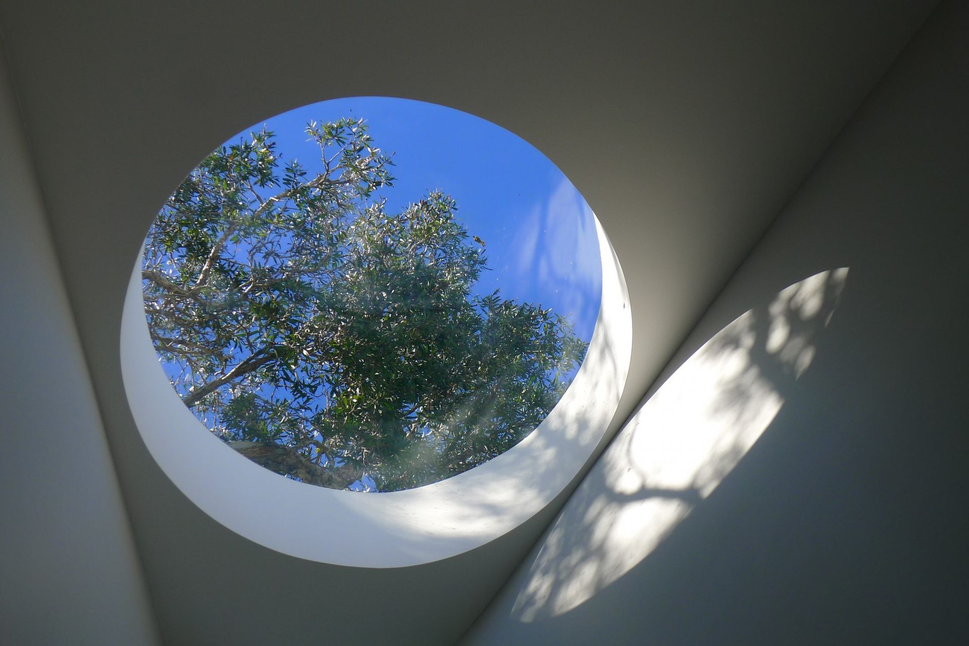 Curl Curl House