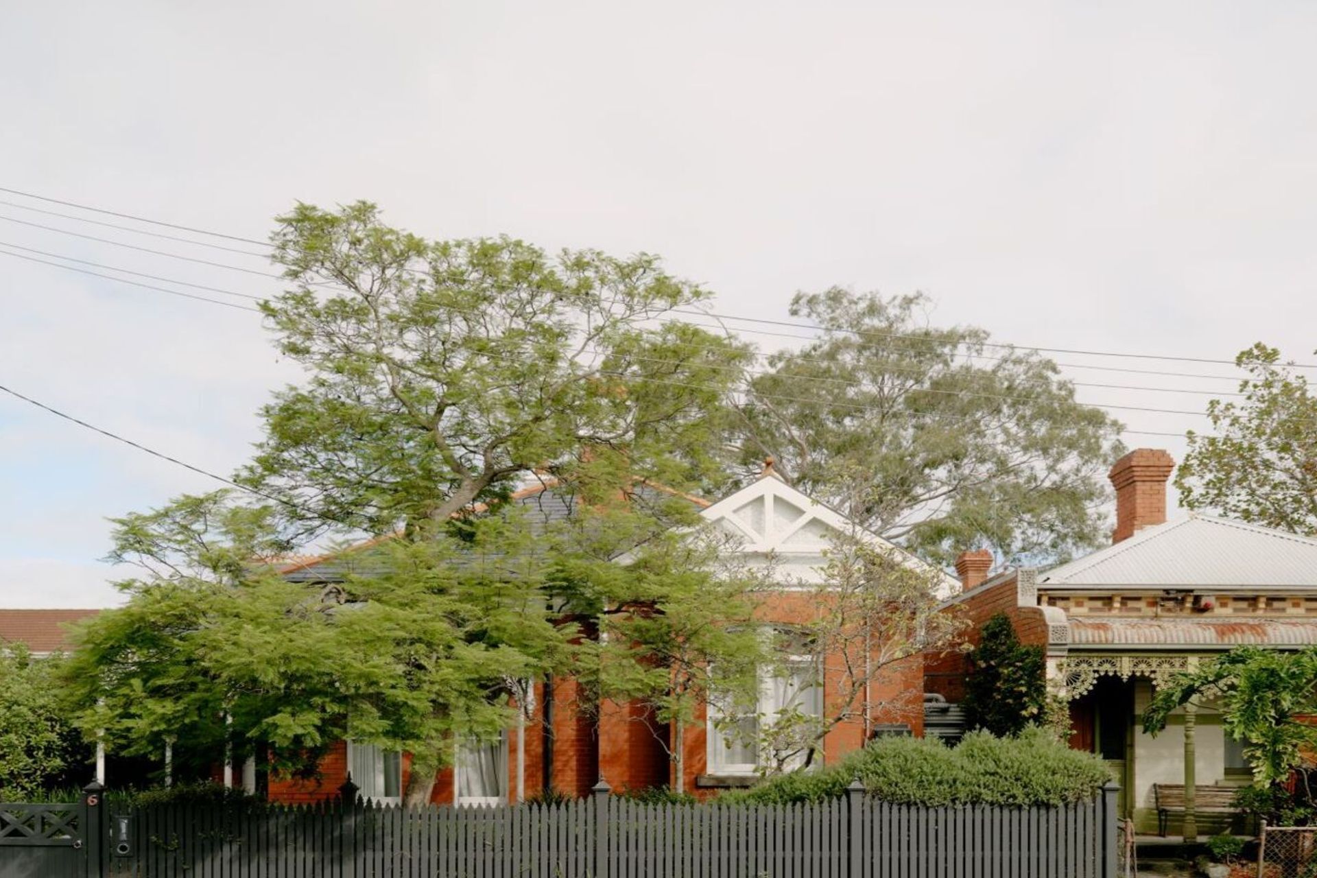acfca2caa0e68b400d4a889bbf329eb-1.jpg