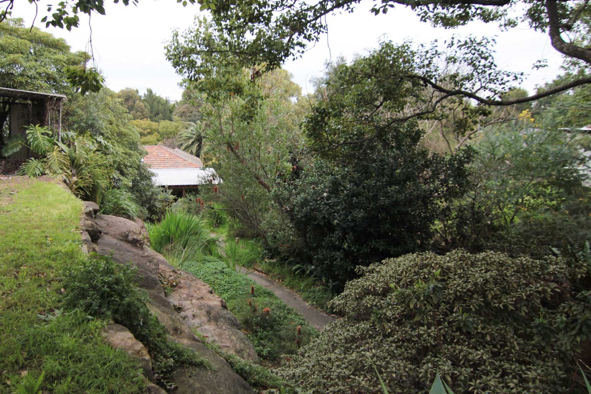 Cooks River House