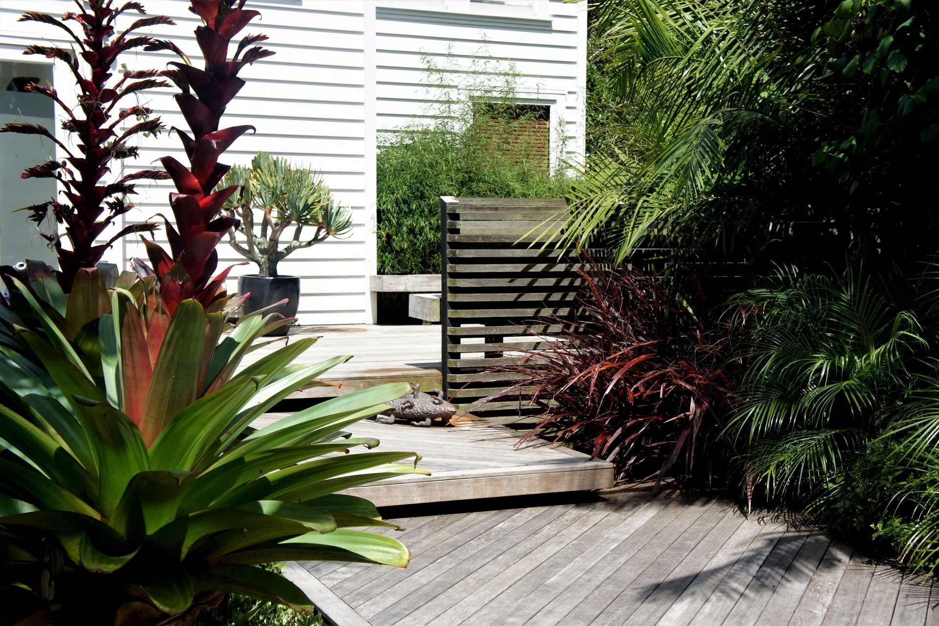 Grey Lynn Garden  