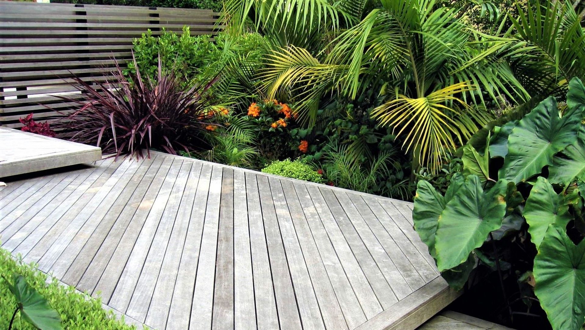 Grey Lynn Garden   banner