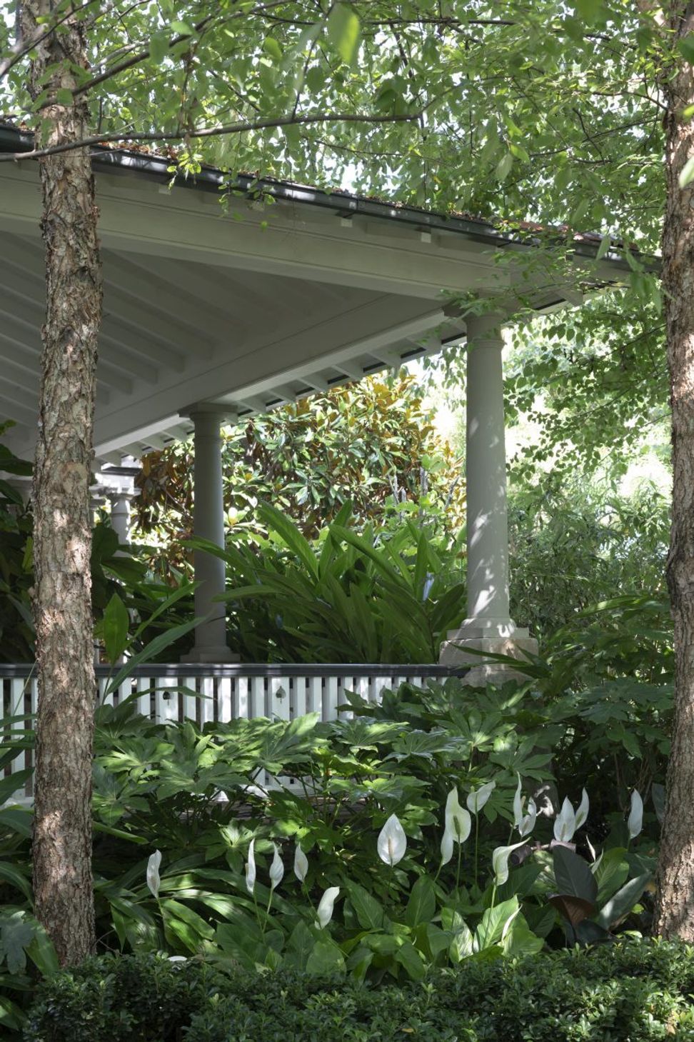 Mosman Grounds