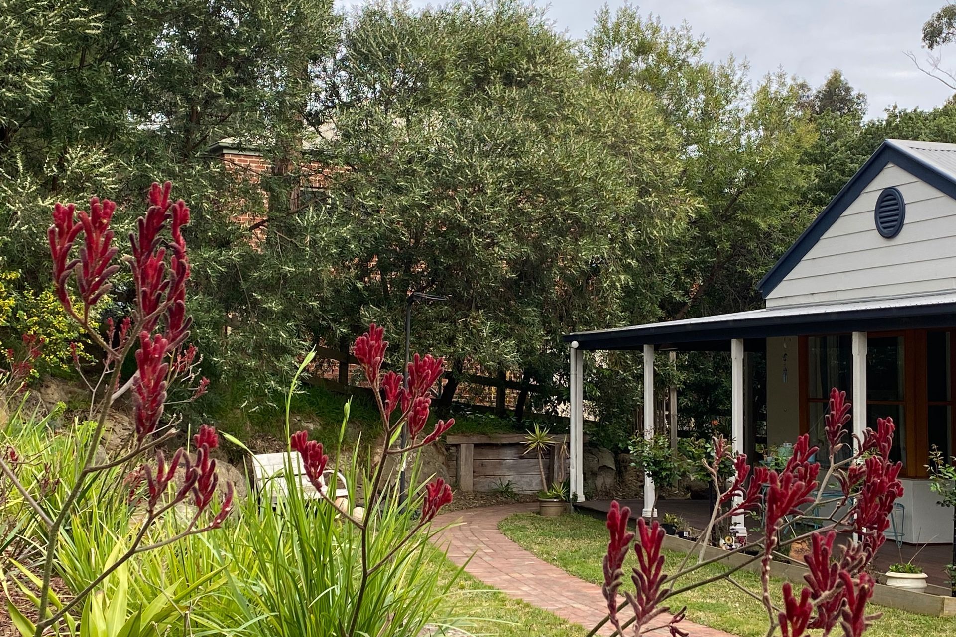House Among The Gum Trees