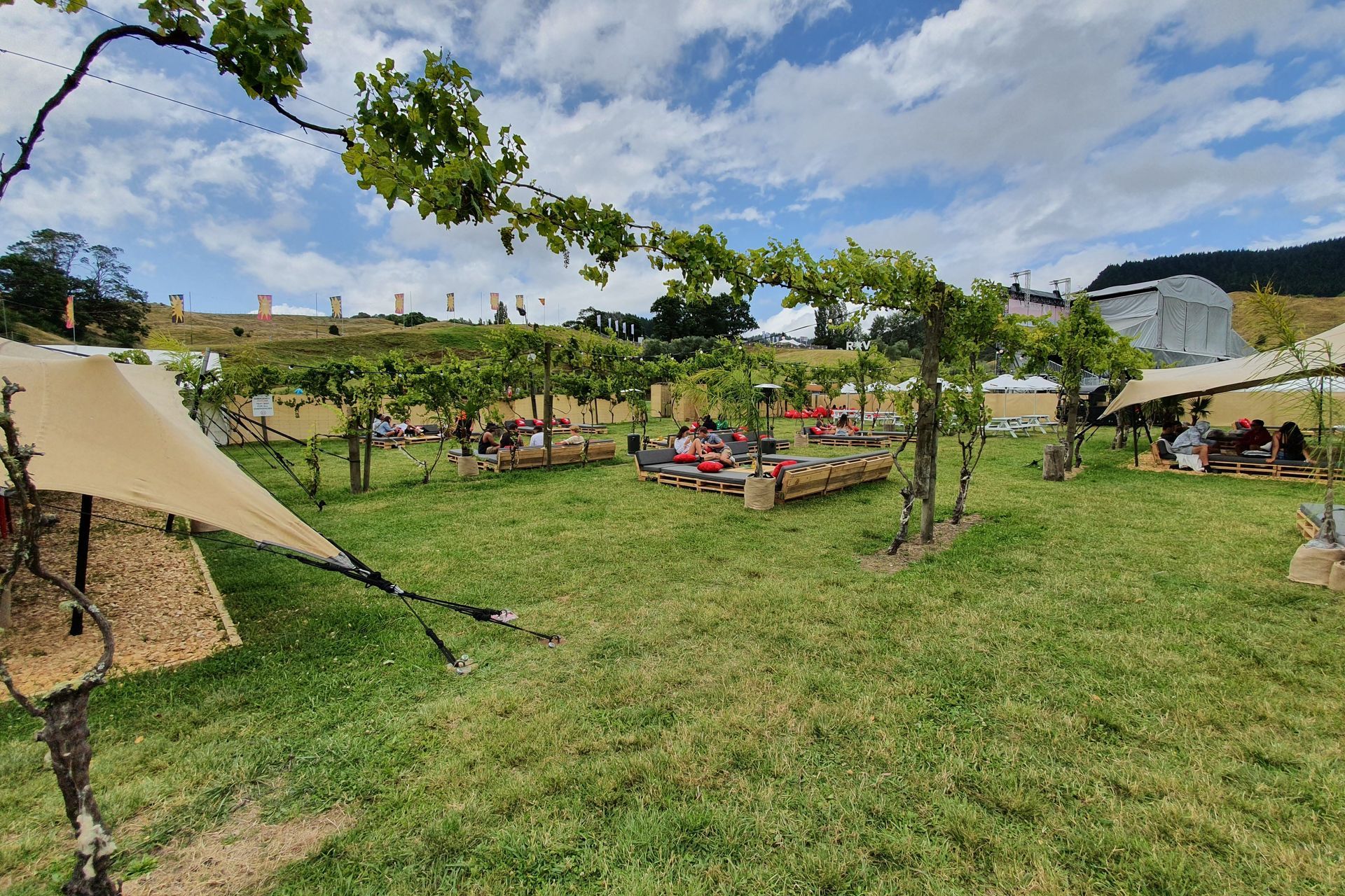 Rhythm &amp; Vines VIP section
