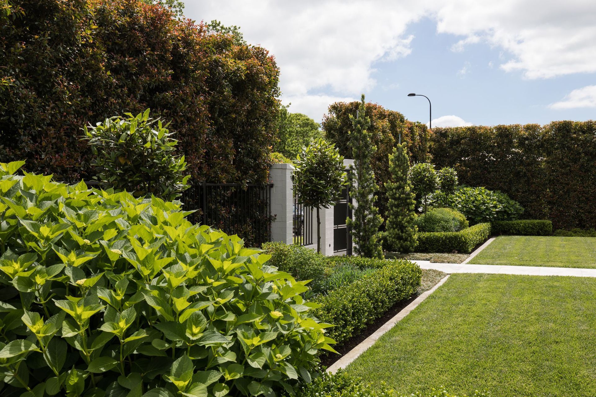 Remuera House V