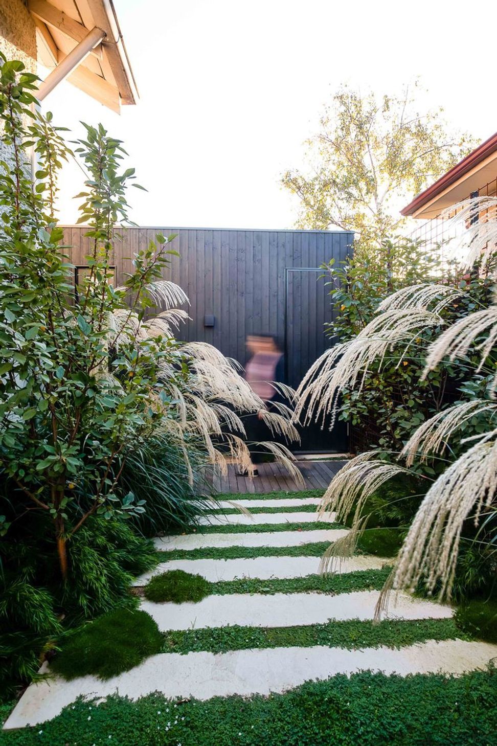 Fountain Grass Garden