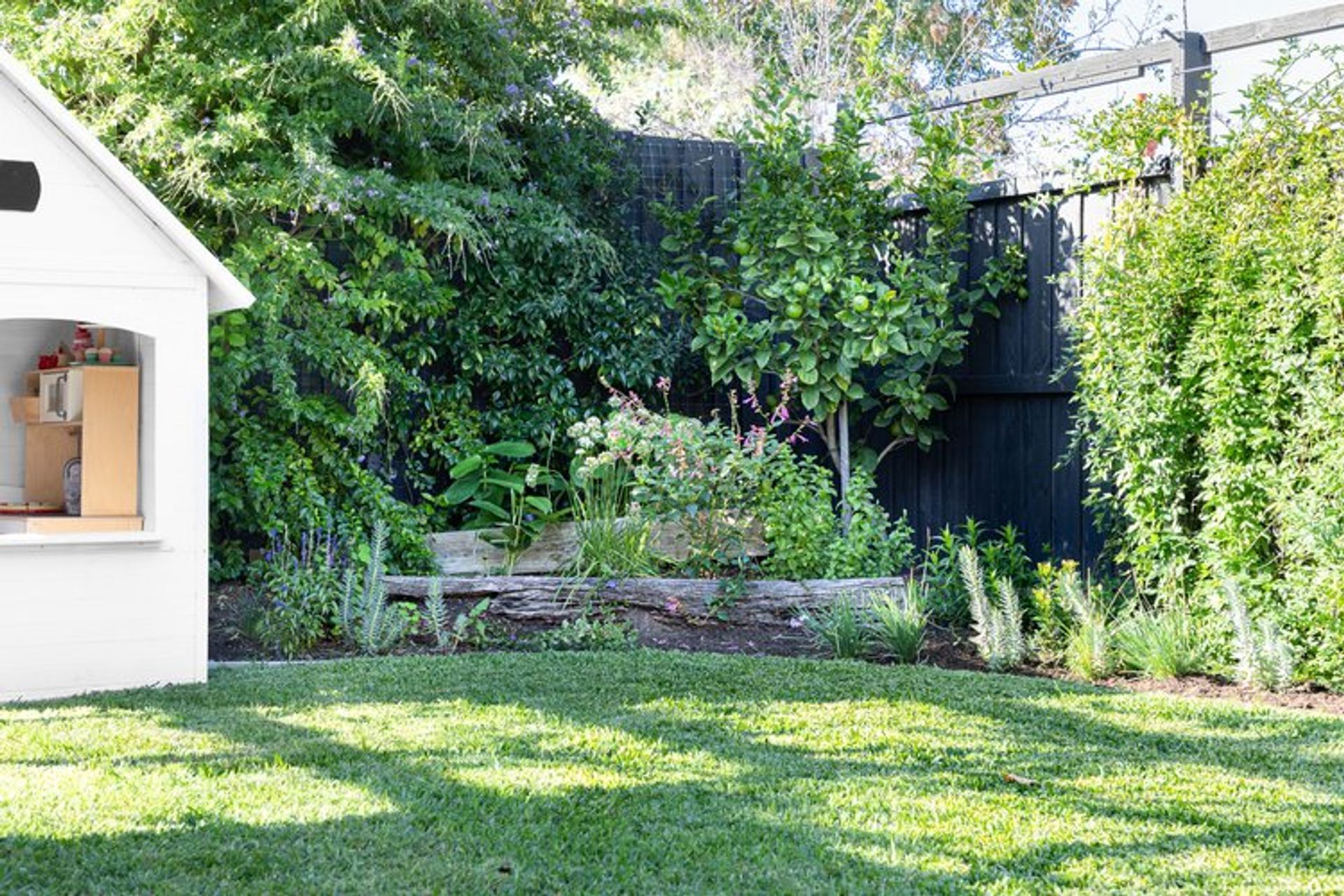 Tuckeroo Landscapes