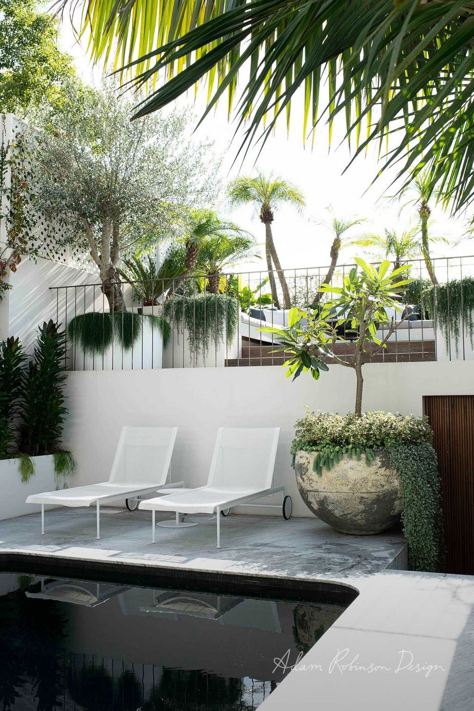 Paddington Terrace