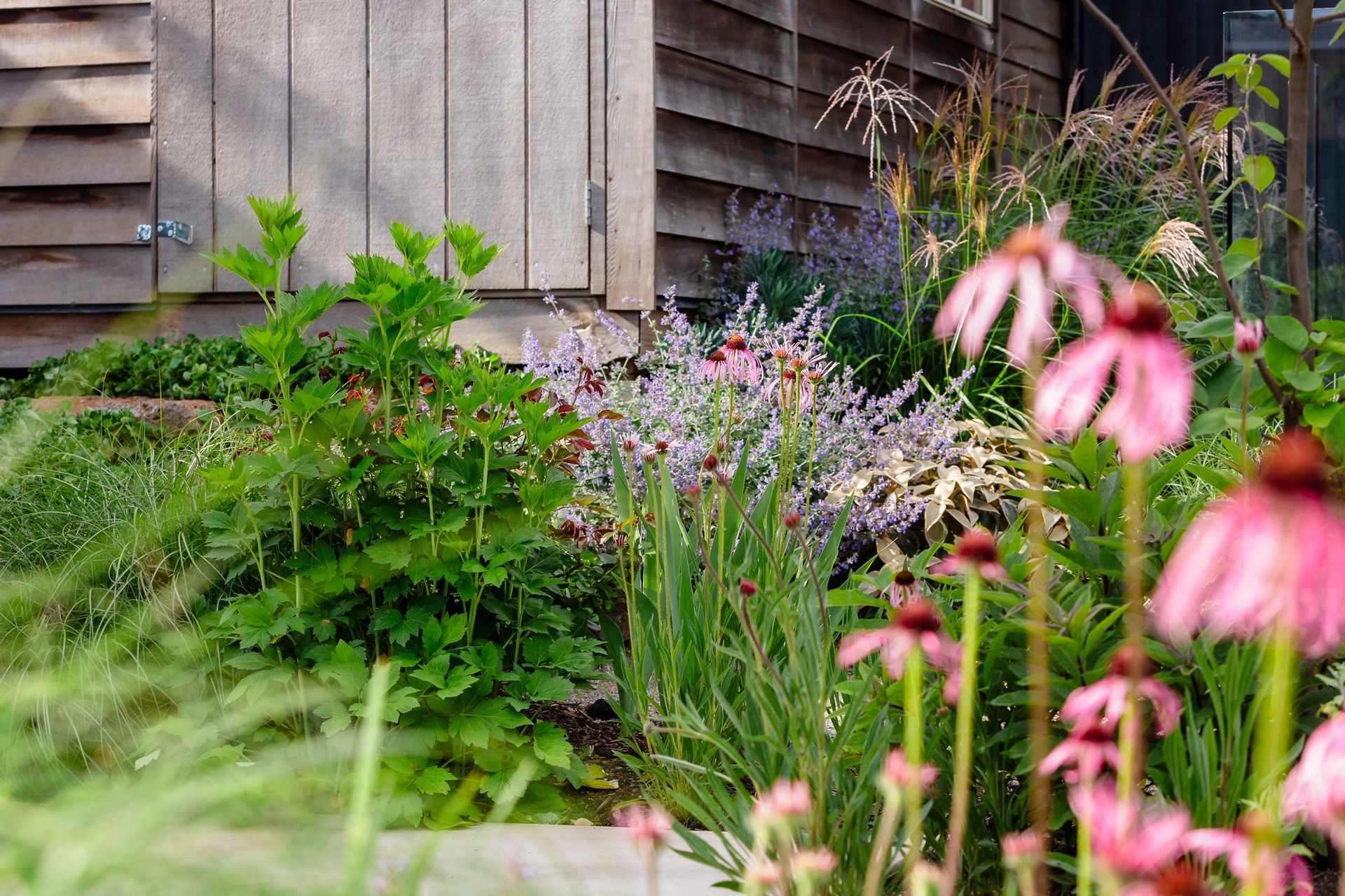 Andy-Murray-Landscape-Design-5-v6.jpg