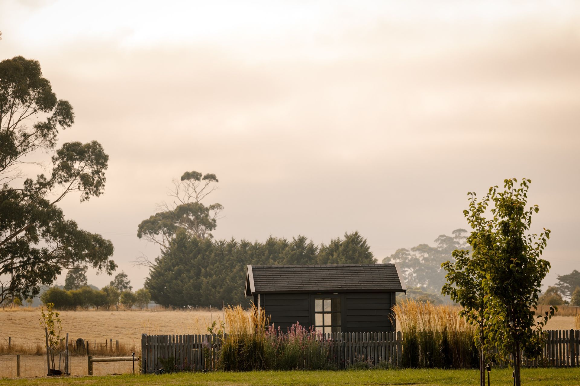 AshCreswick-Proofs-97-ap-compressed.jpg