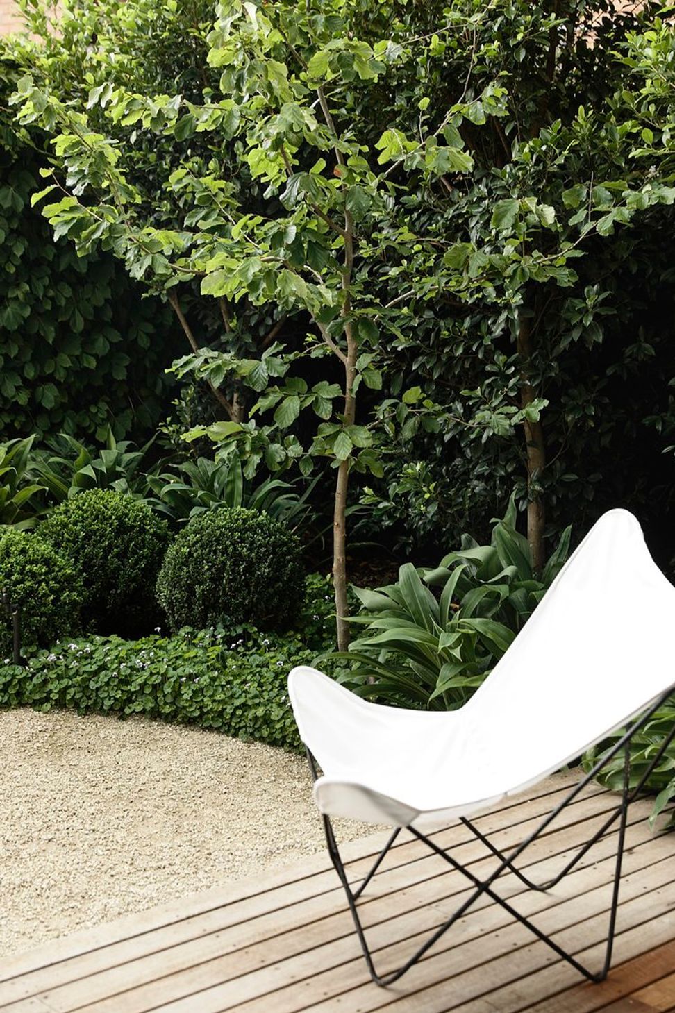 Cercis Garden