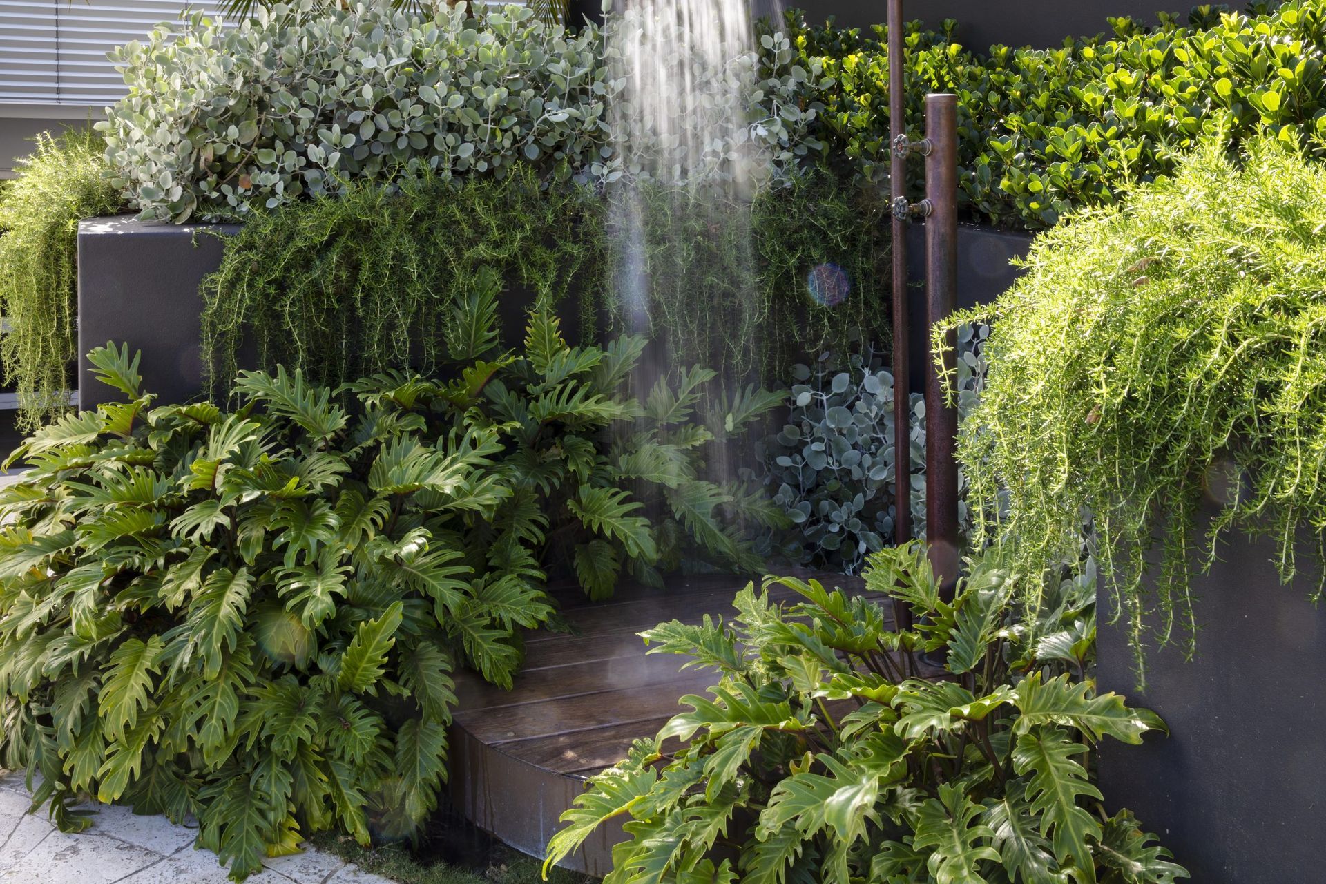 BELLEVUE-HILL12.jpg