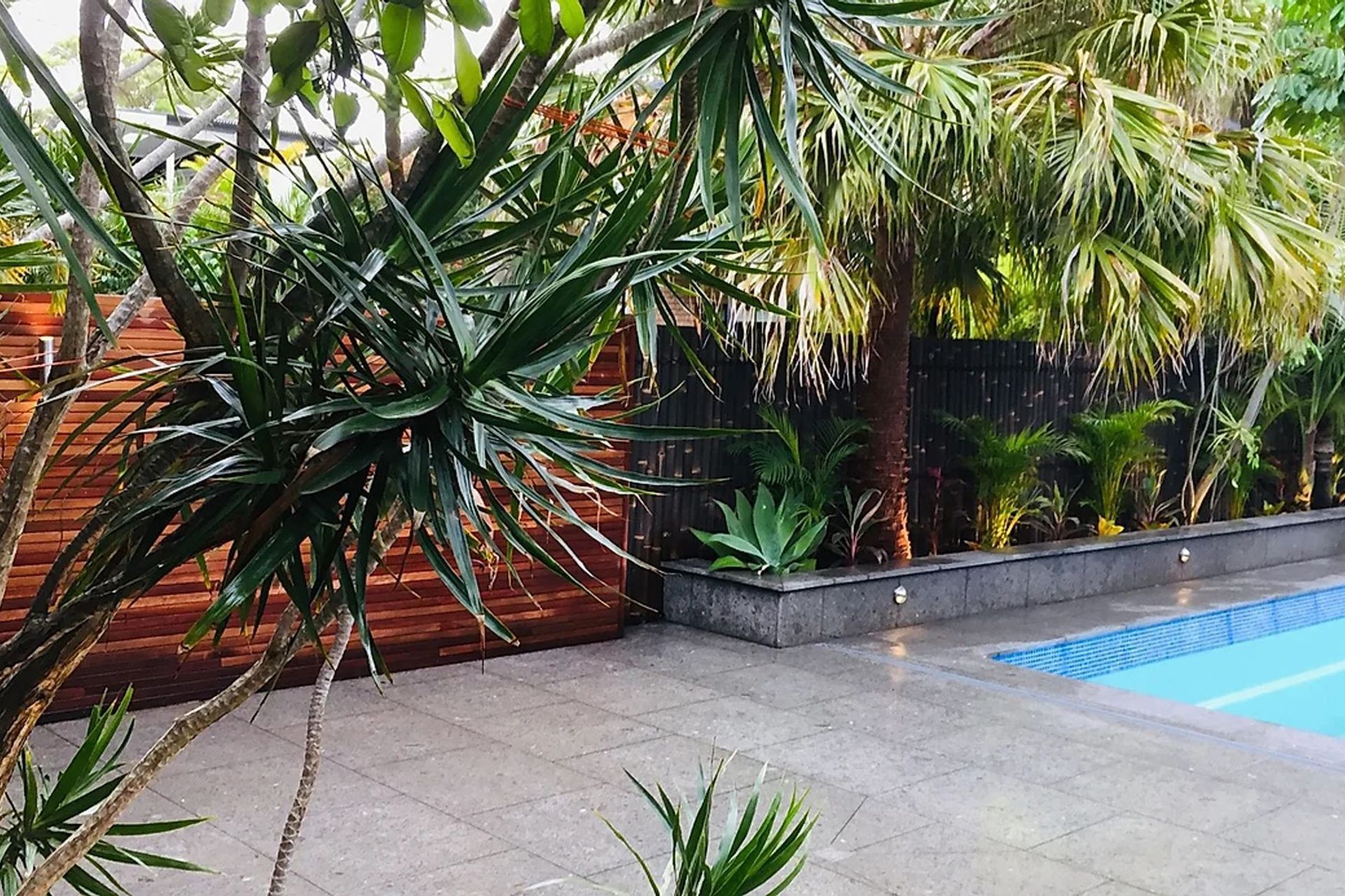 TROPICAL GARDEN