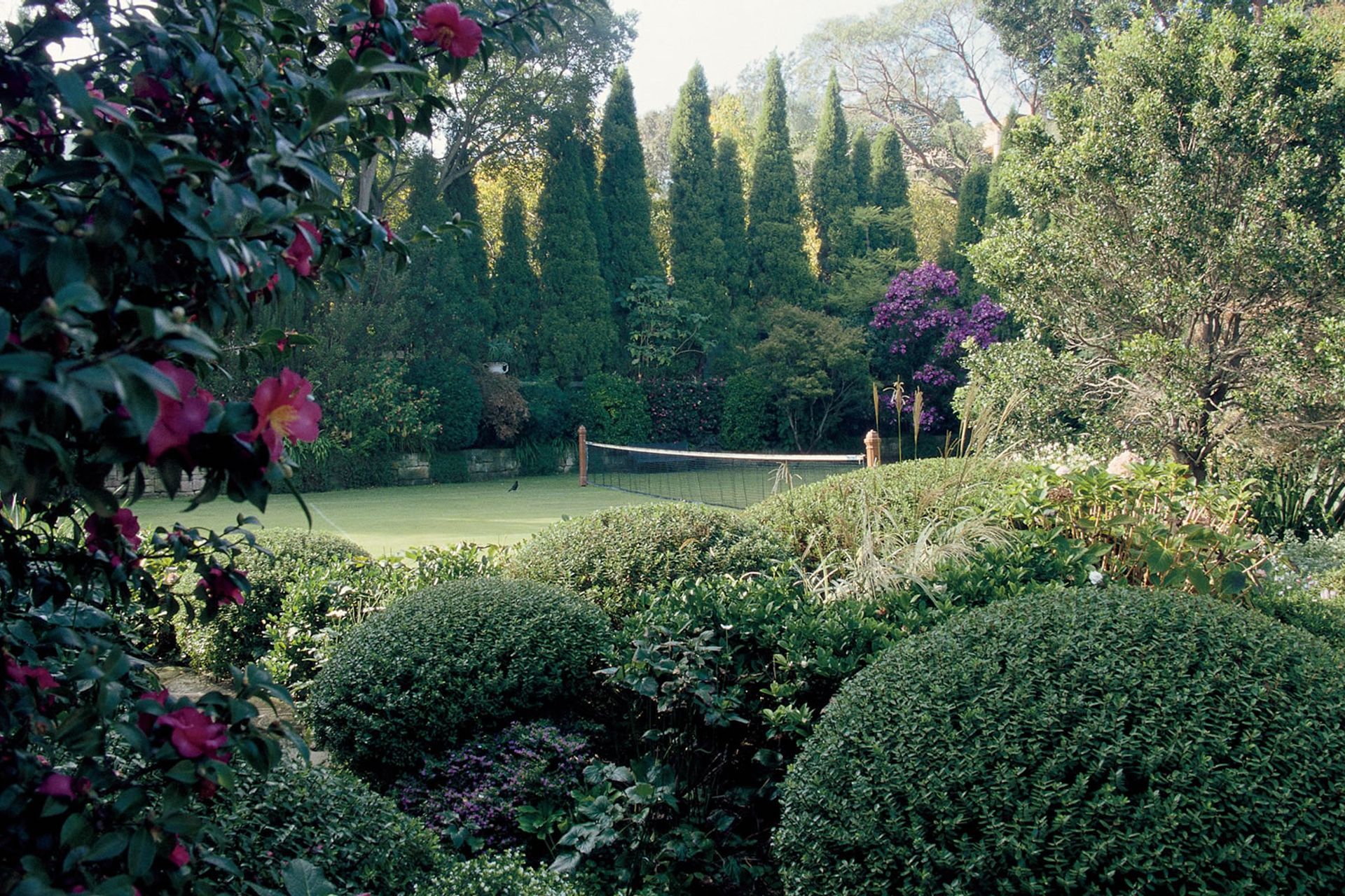 Bellevue Hill - 3