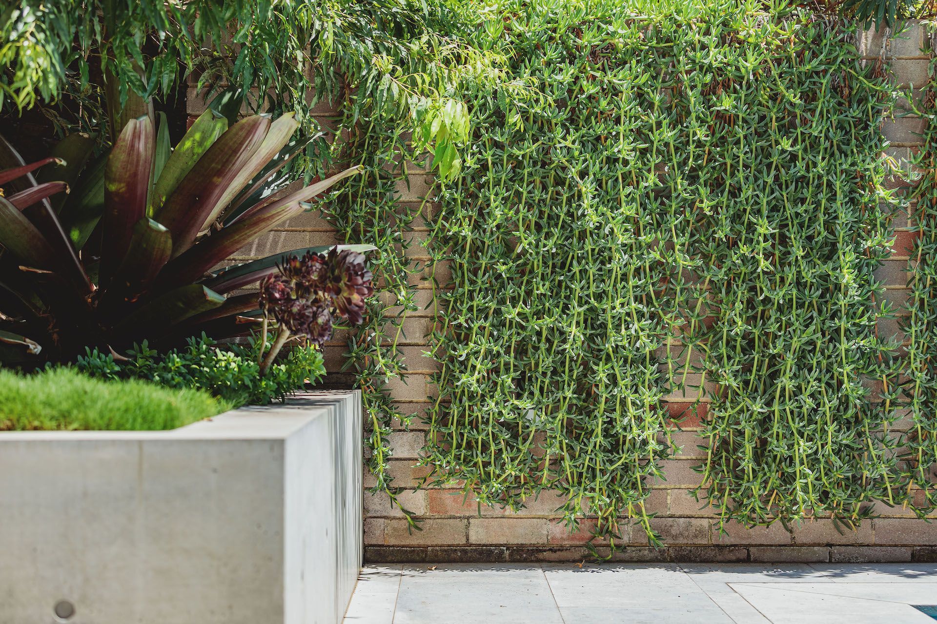 Bellevue Hill