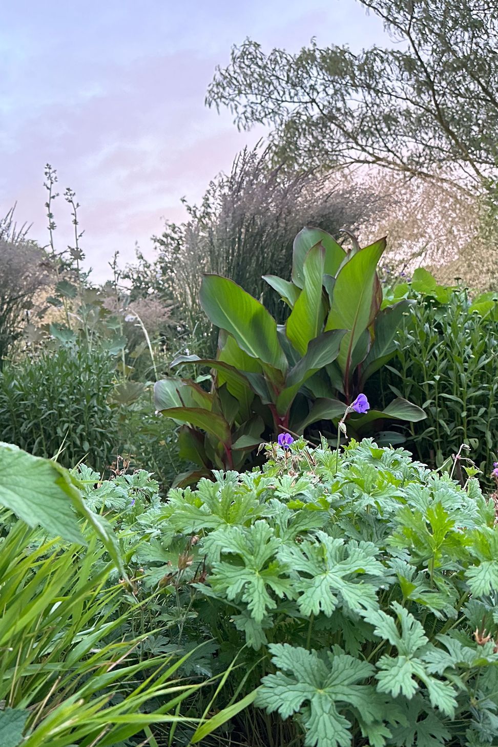 BotanicLandscape-ArchitectsDallington-Gardenplanting15.jpg