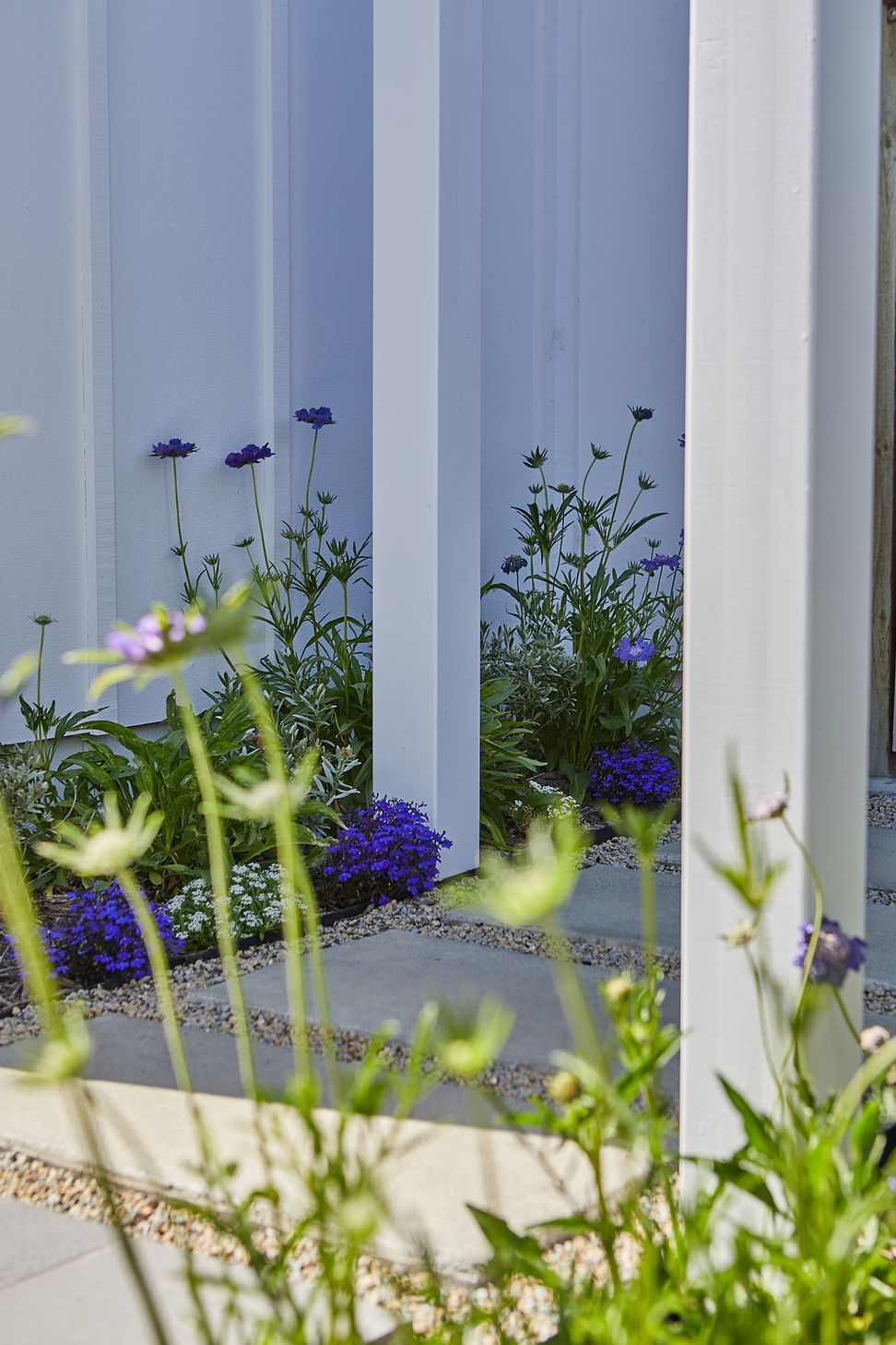 COASTAL-GARDEN102.jpg