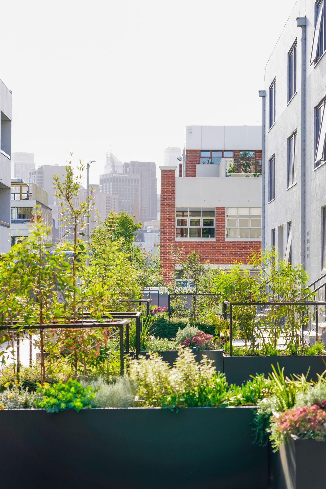 CarloGabrieleCeraStribleyLandscapingAgnesStreet01365.jpg