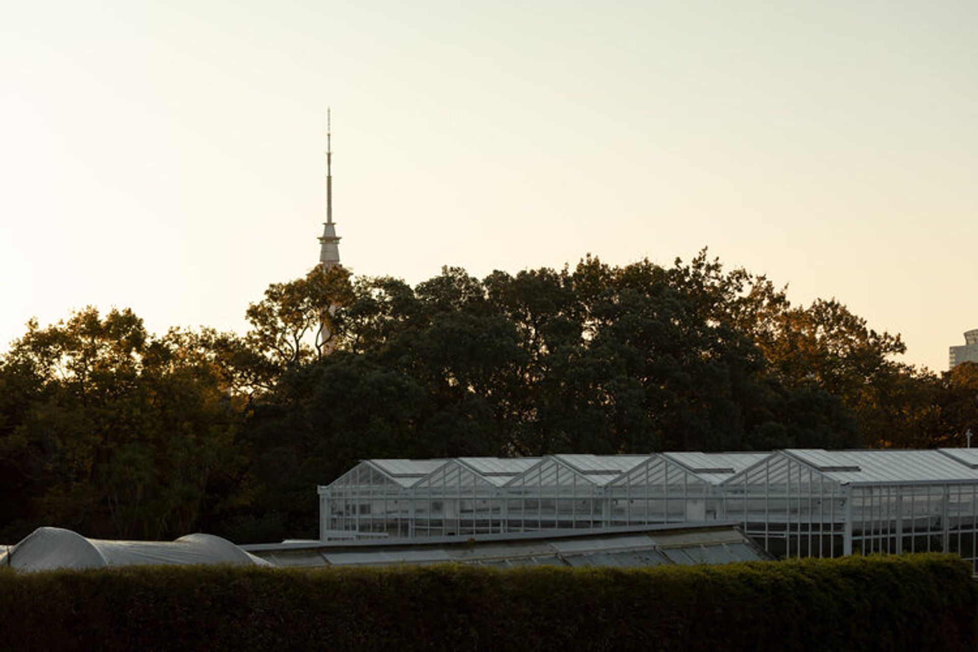 Domain Glass Houses